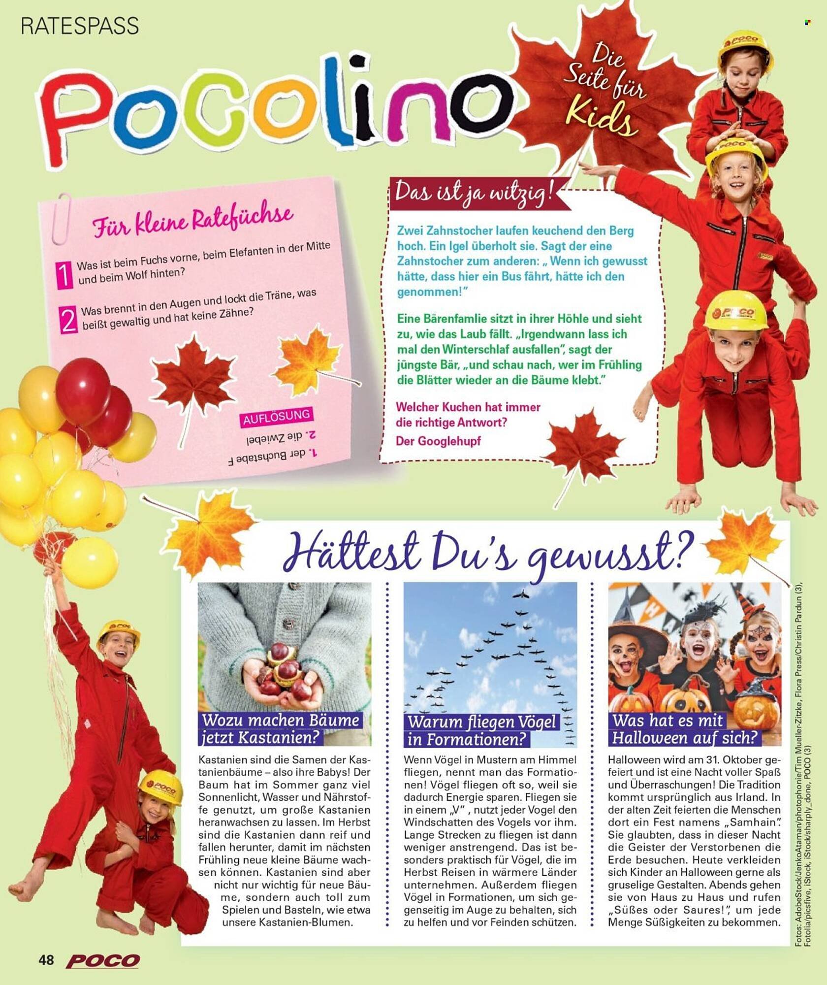 Poco Magazin (2025-09-01 - 2025-11-30)