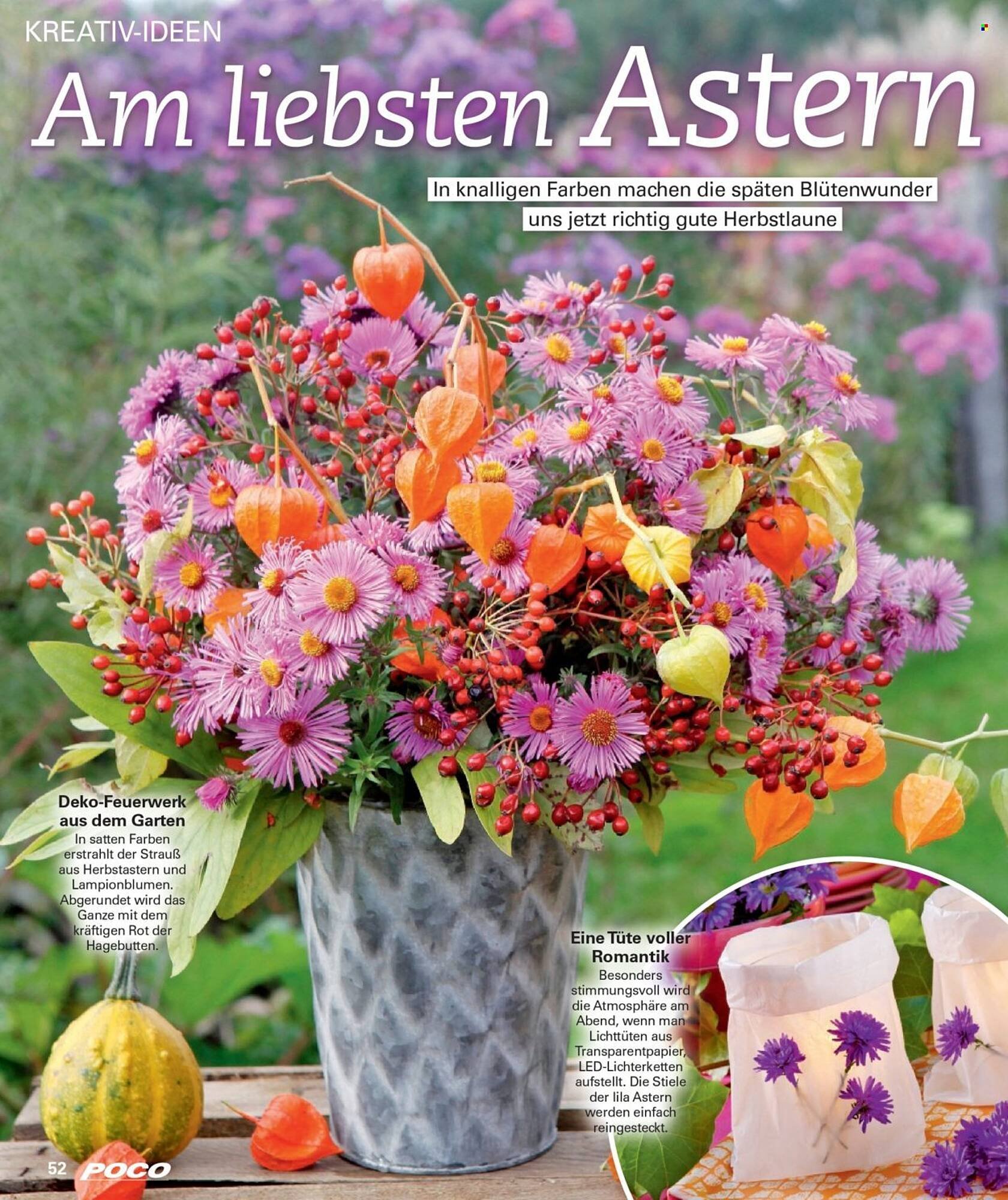 Poco Magazin (2025-09-01 - 2025-11-30)