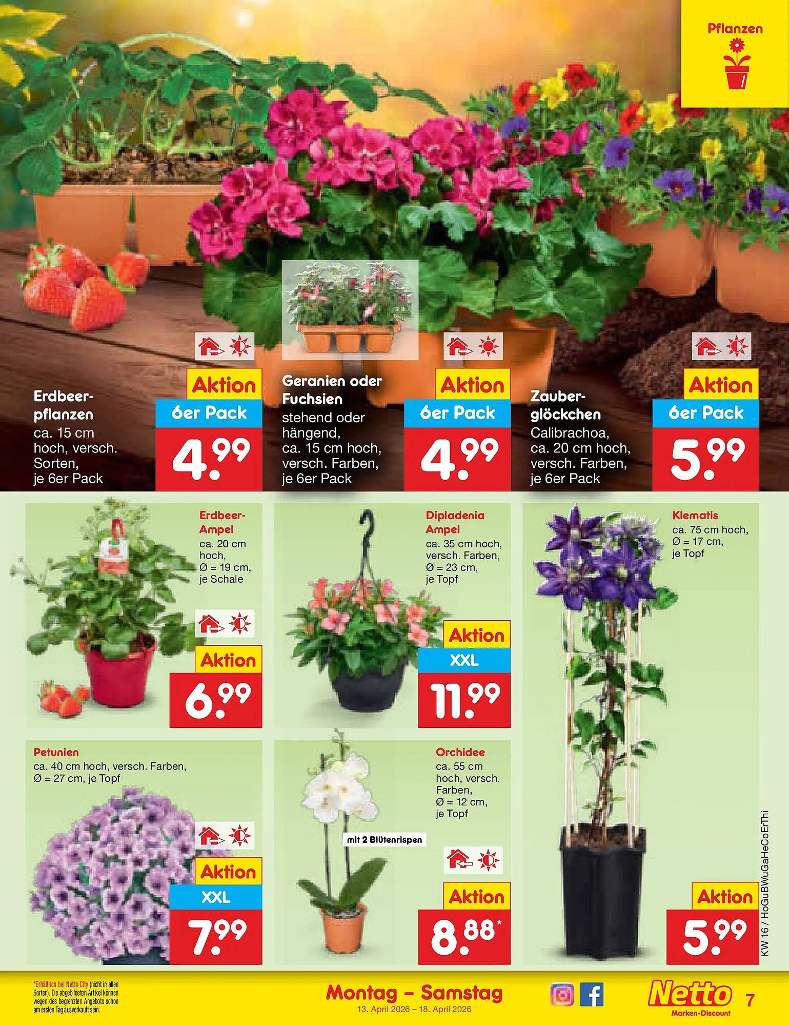 Netto Marken-Discount Prospekt (2026-04-12 - 2026-04-18)