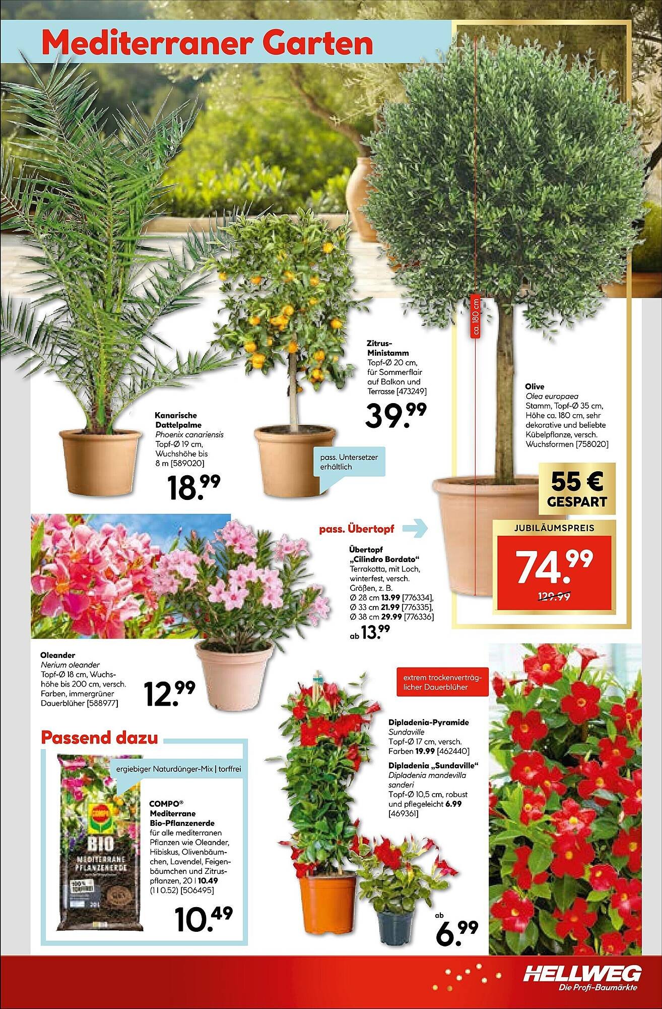 Hellweg Prospekt (2026-04-27 - 2026-05-02)