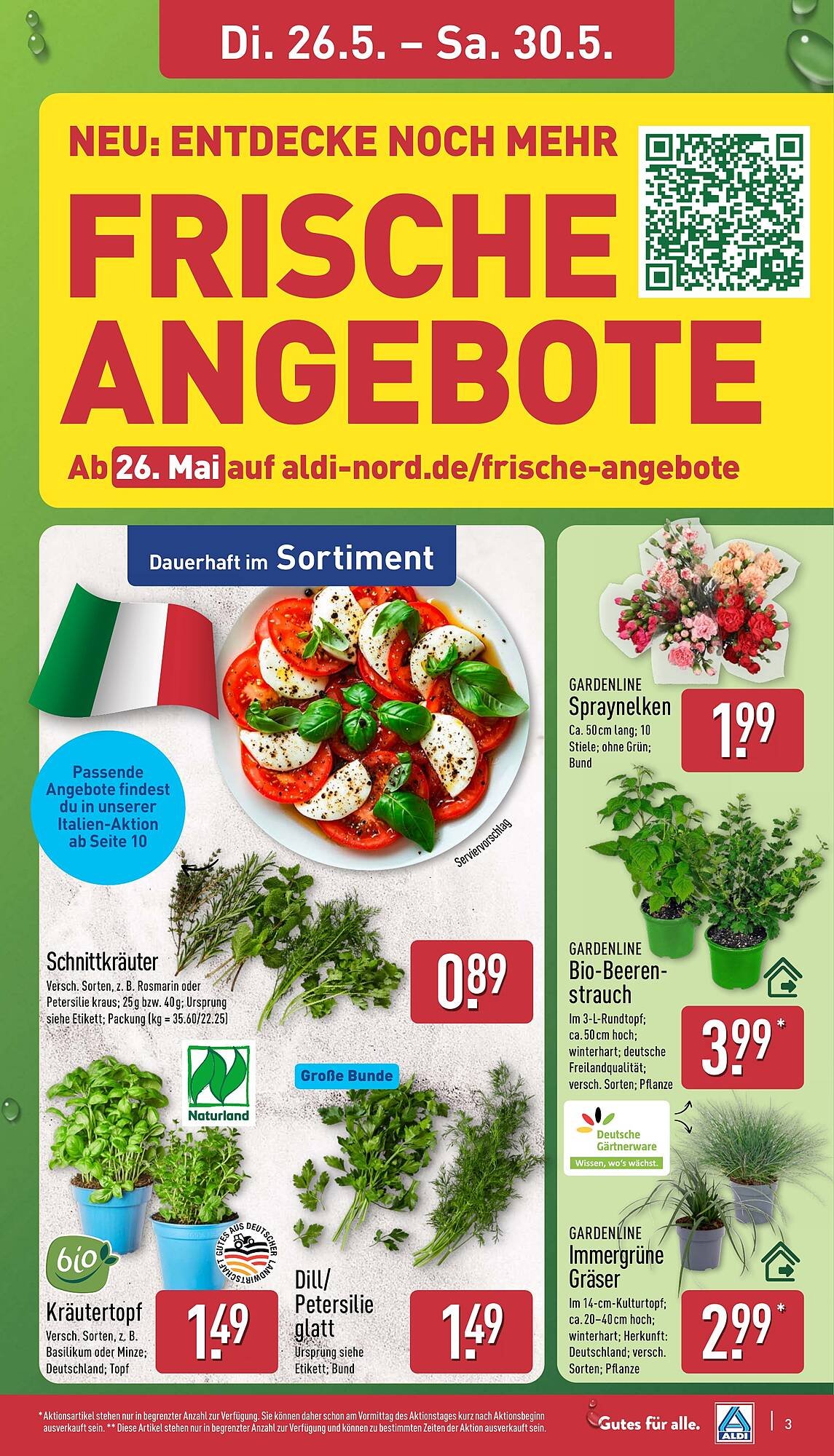 Aldi Nord Prospekt