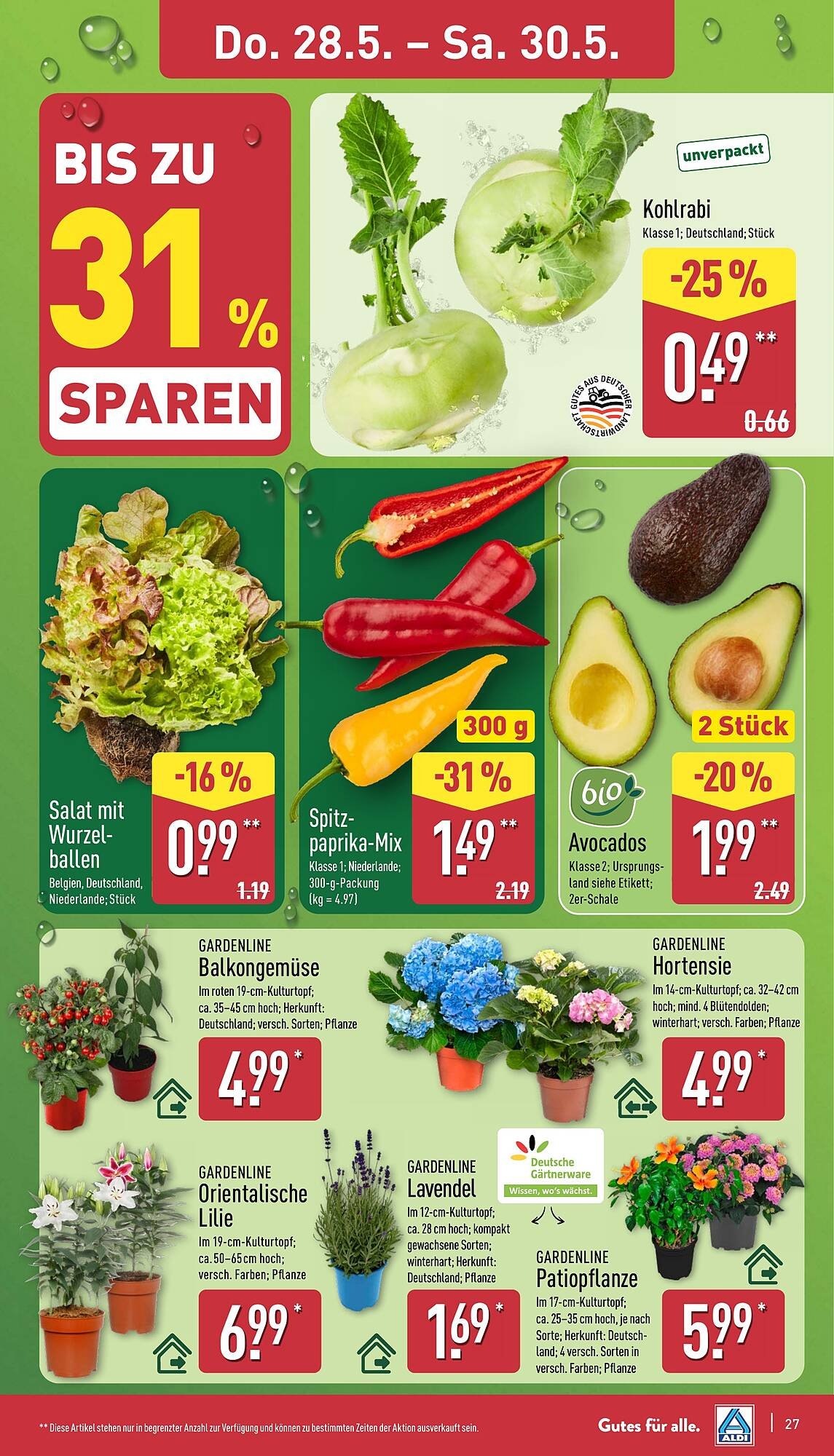 Aldi Nord Prospekt