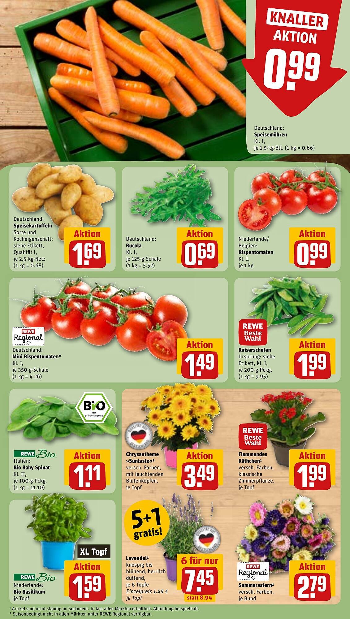REWE Prospekt (2025-08-18 - 2025-08-24) | 5