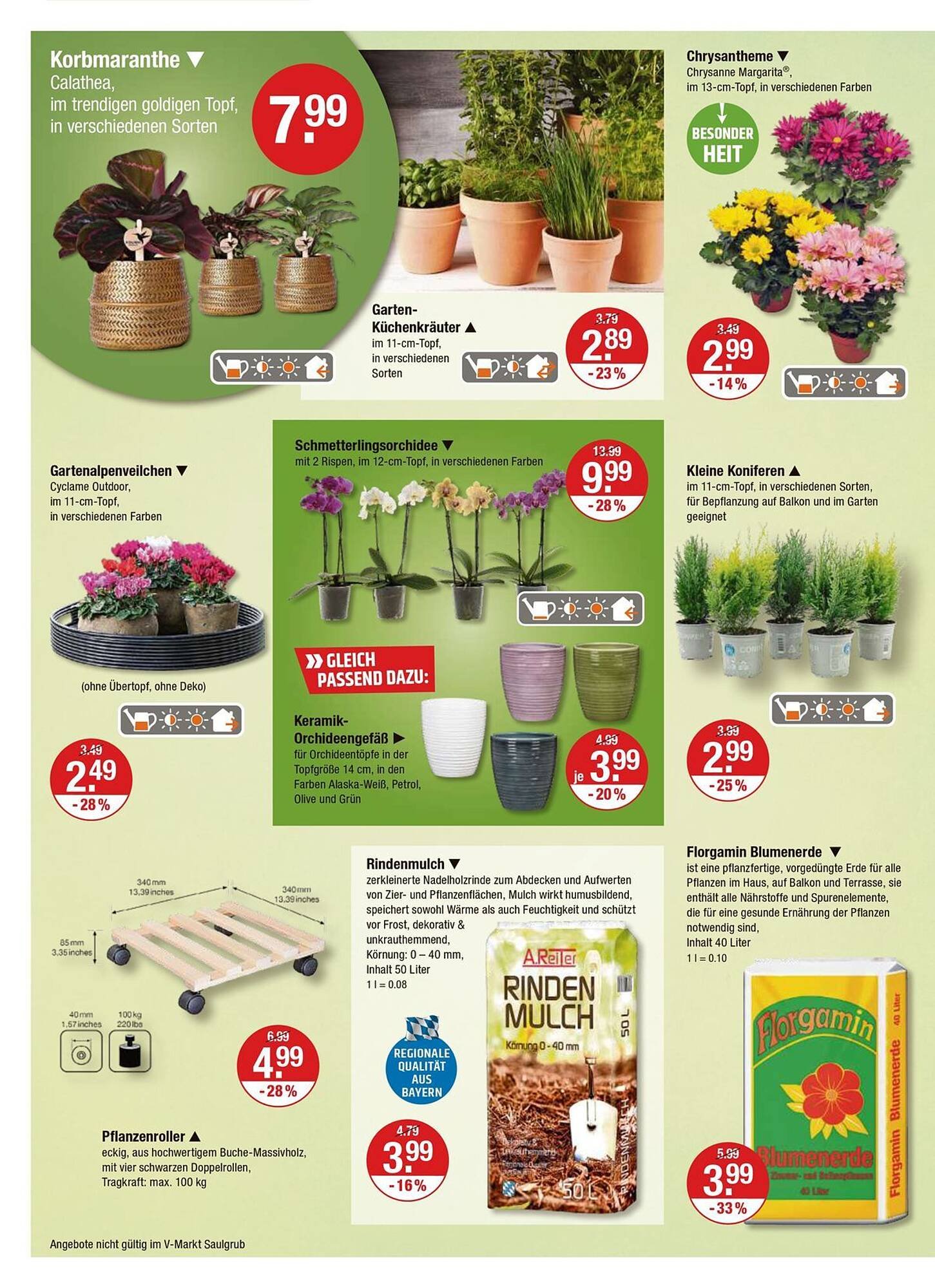 V Markt Prospekt (2025-09-25 - 2025-10-01) | 20