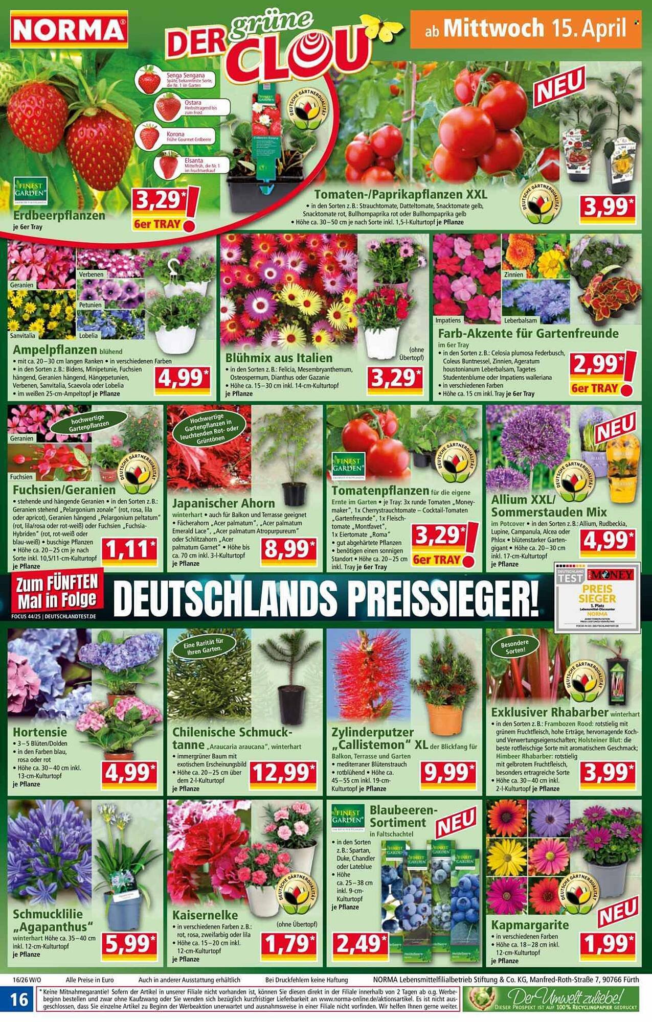 Norma Prospekt (2026-04-13 - 2026-04-19)