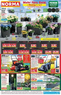 Norma Prospekt