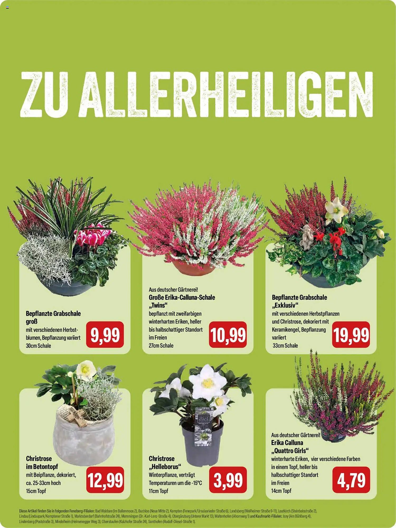 Feneberg Prospekt (2025-10-23 - 2025-10-25) | 11