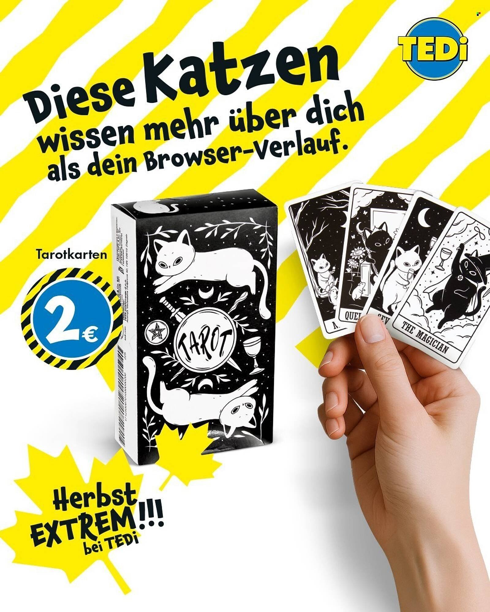 TEDi Prospekt (2025-09-29 - 2025-10-07) | 5