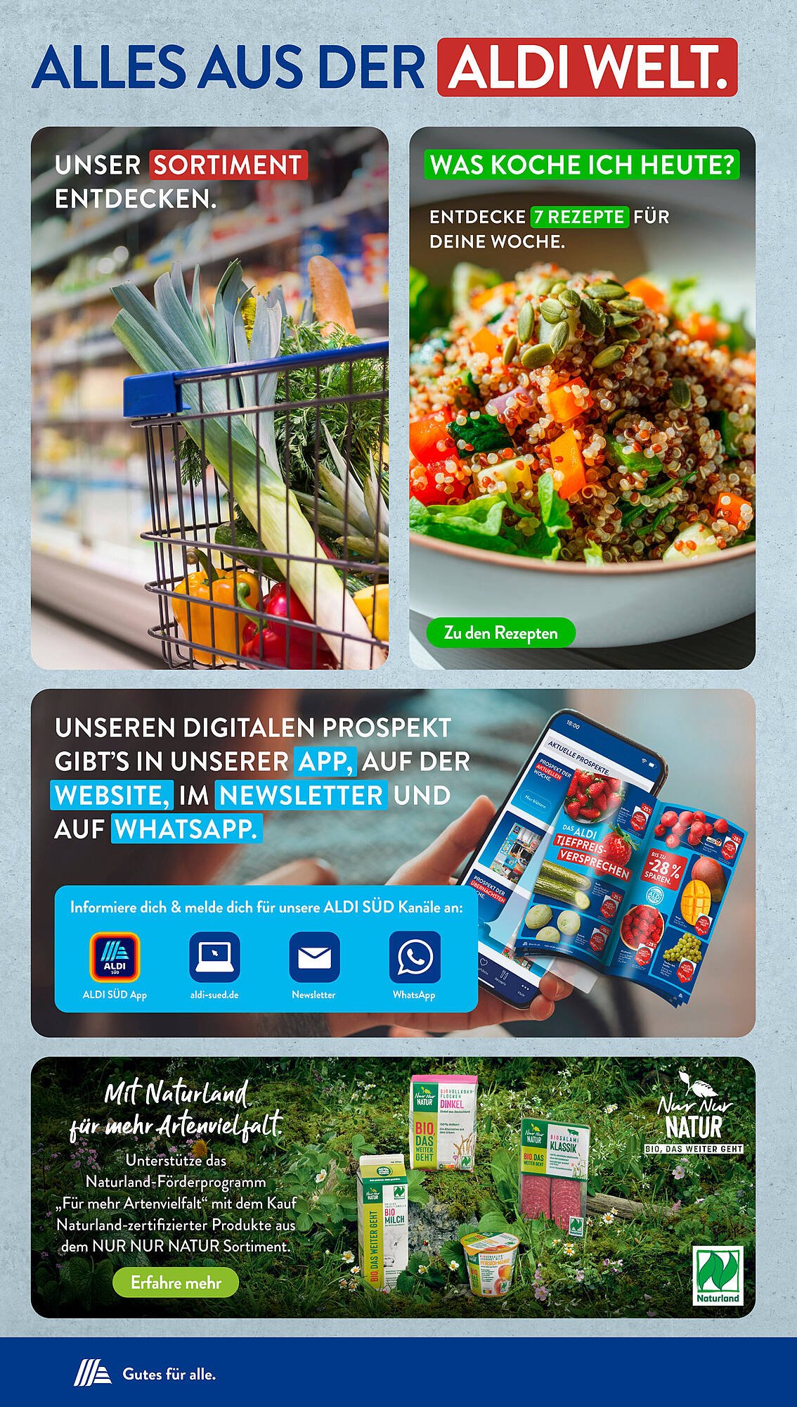 Aldi Süd Prospekt (2025-08-11 - 2025-08-16) | 42