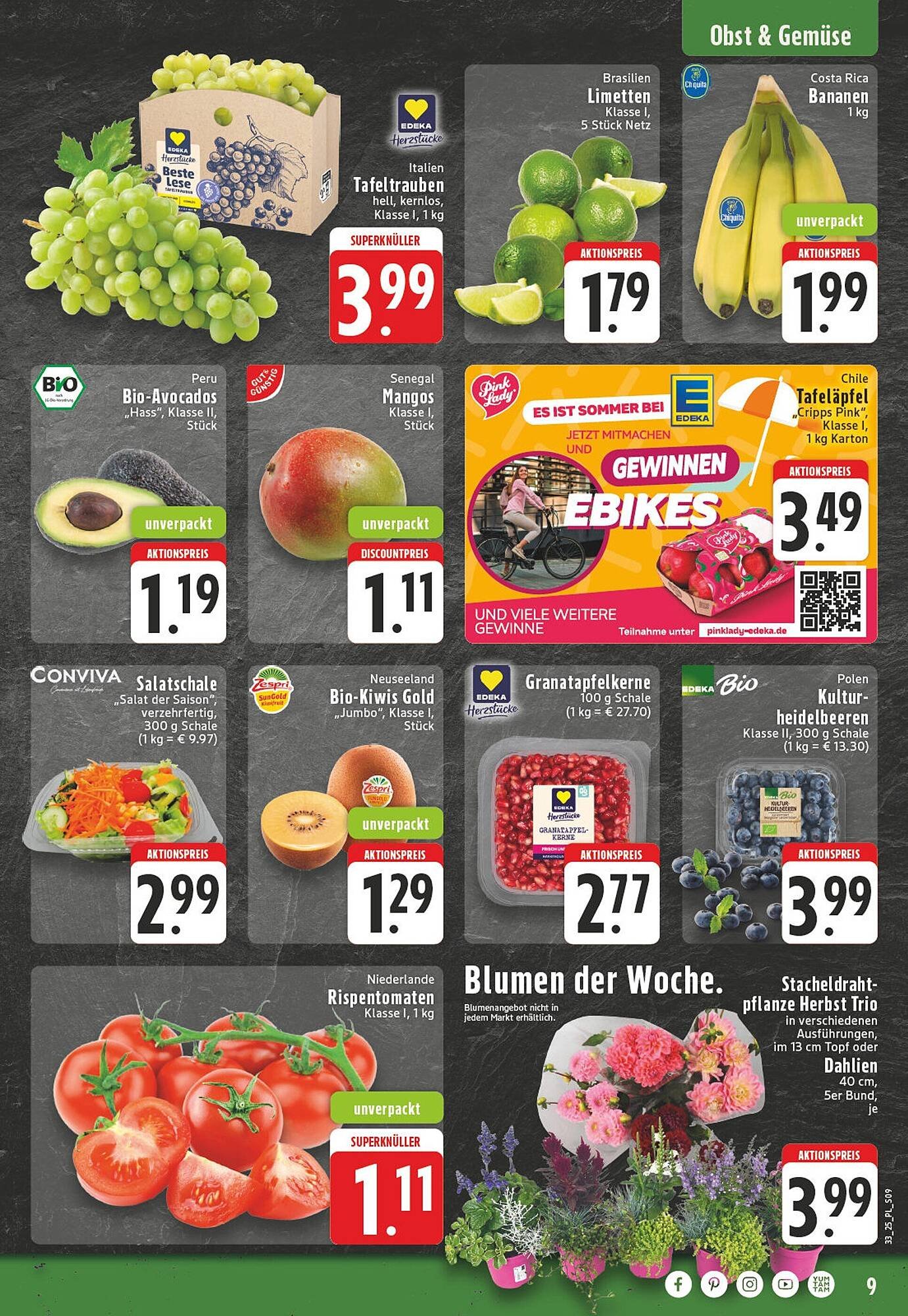 E-Center Prospekt (2025-08-11 - 2025-08-16) | 9