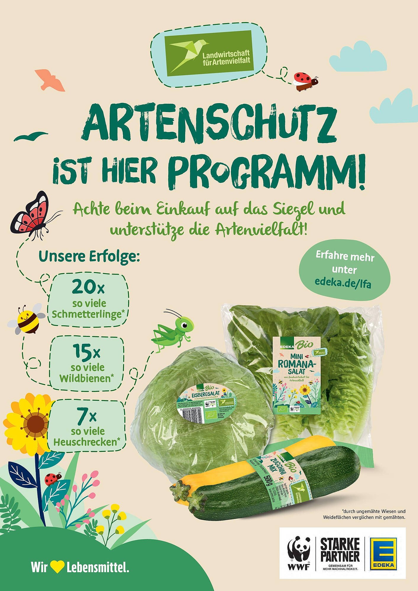 Marktkauf Prospekt (2025-08-03 - 2025-08-09) | 34