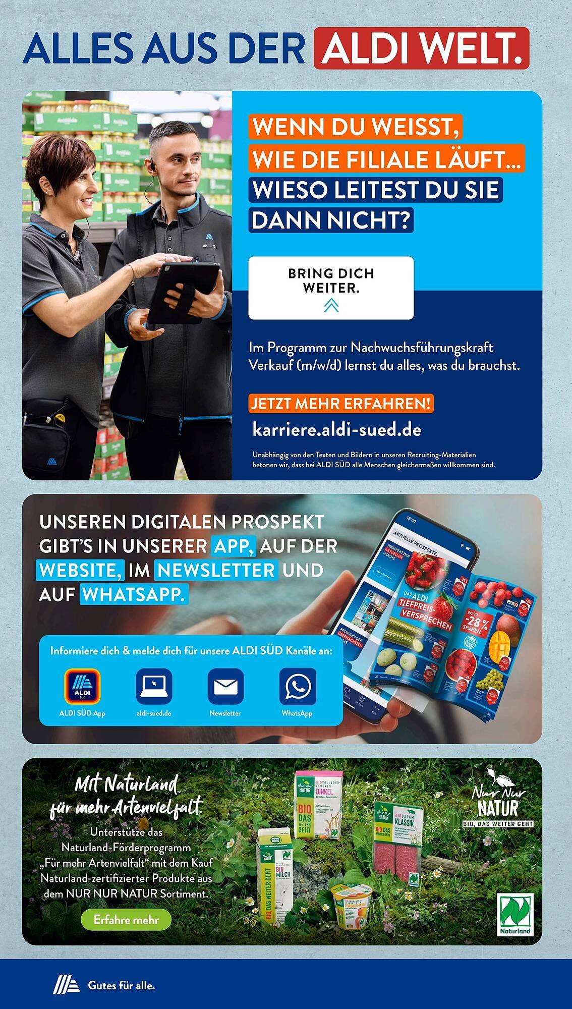 Aldi Süd Prospekt (2025-10-27 - 2025-11-02) | 31