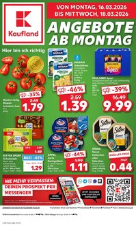 Kaufland Prospekt