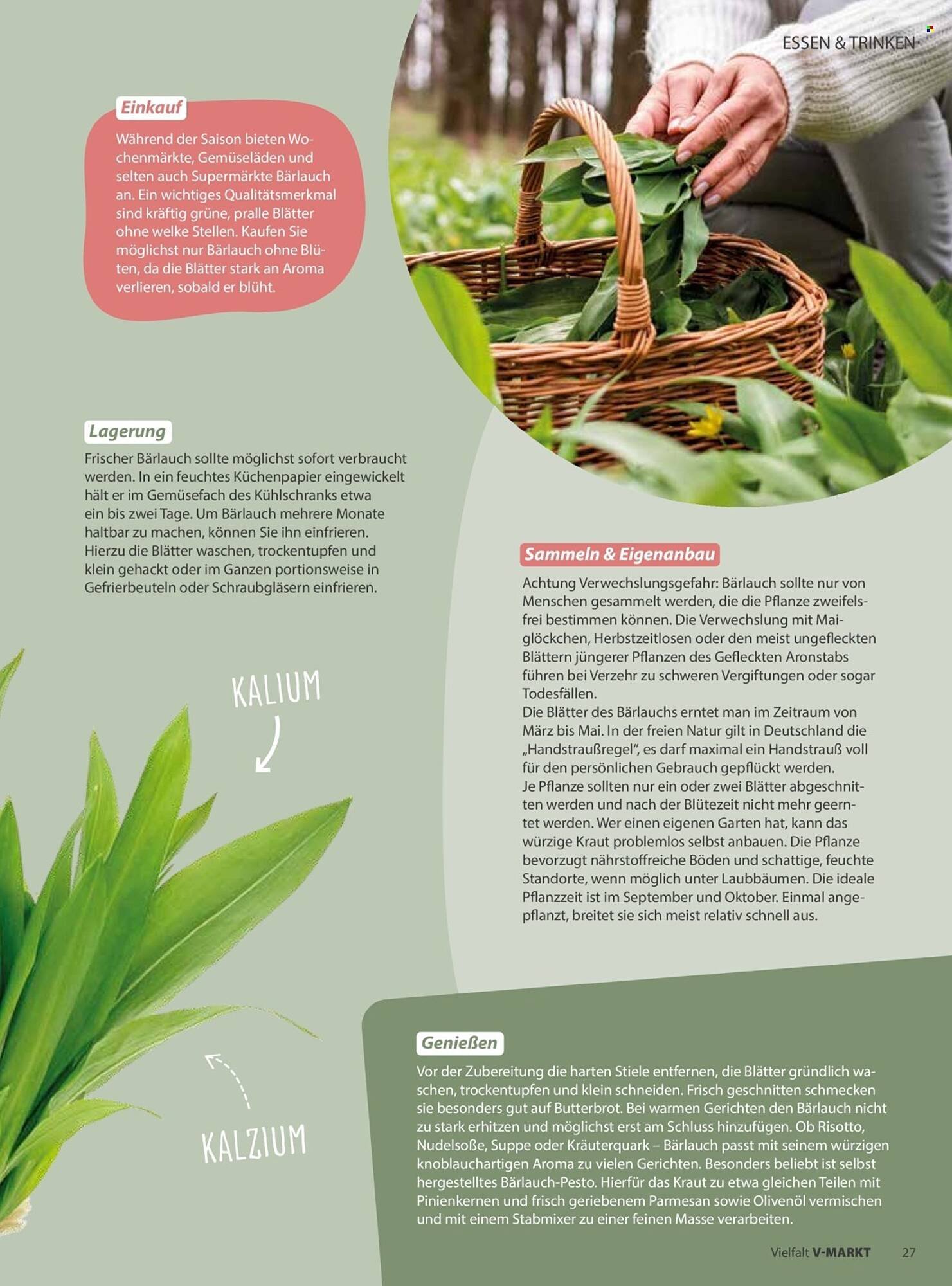 V Markt Magazin (2026-03-01 - 2026-04-30)