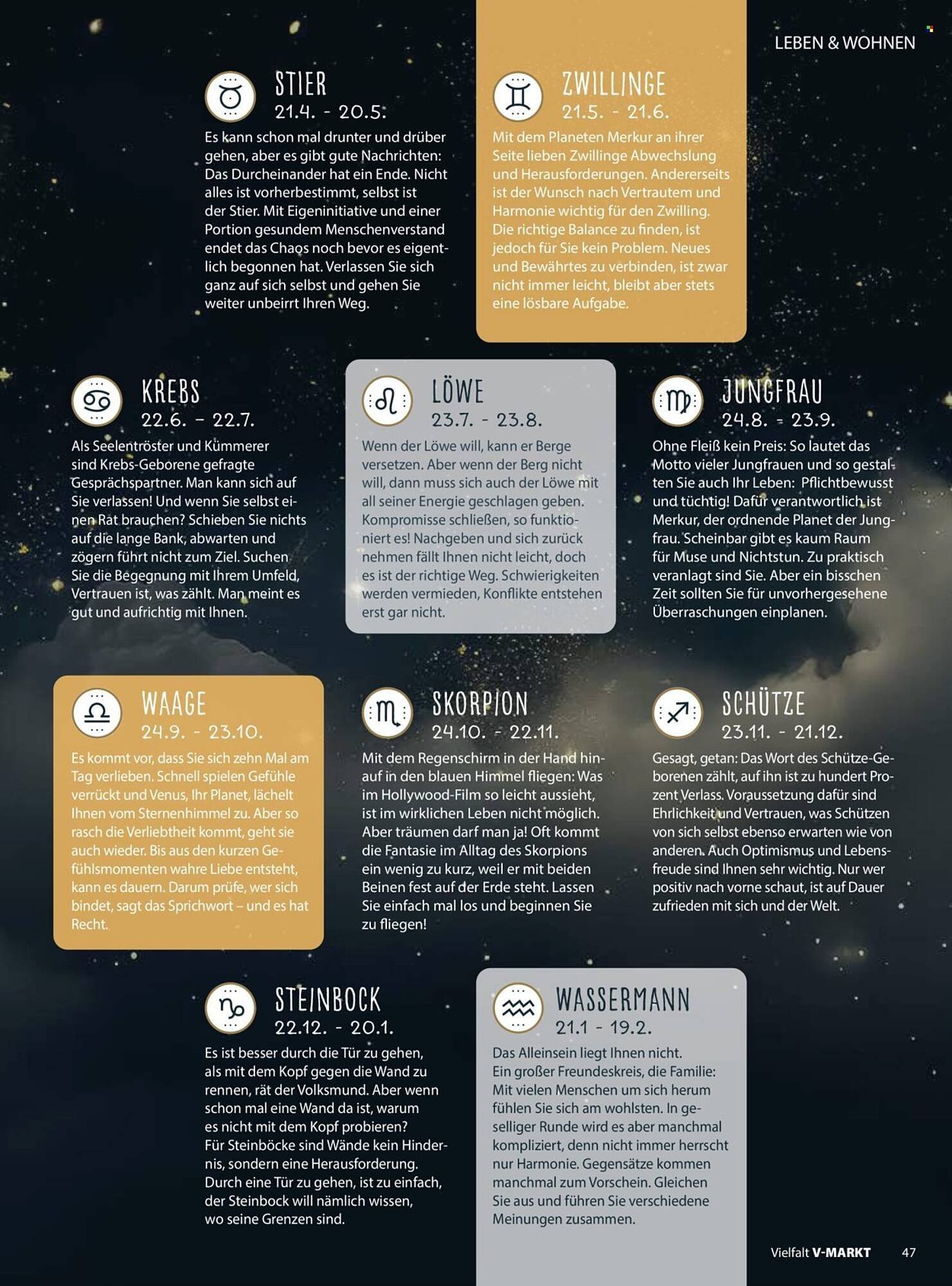 V Markt Magazin (2026-03-01 - 2026-04-30)