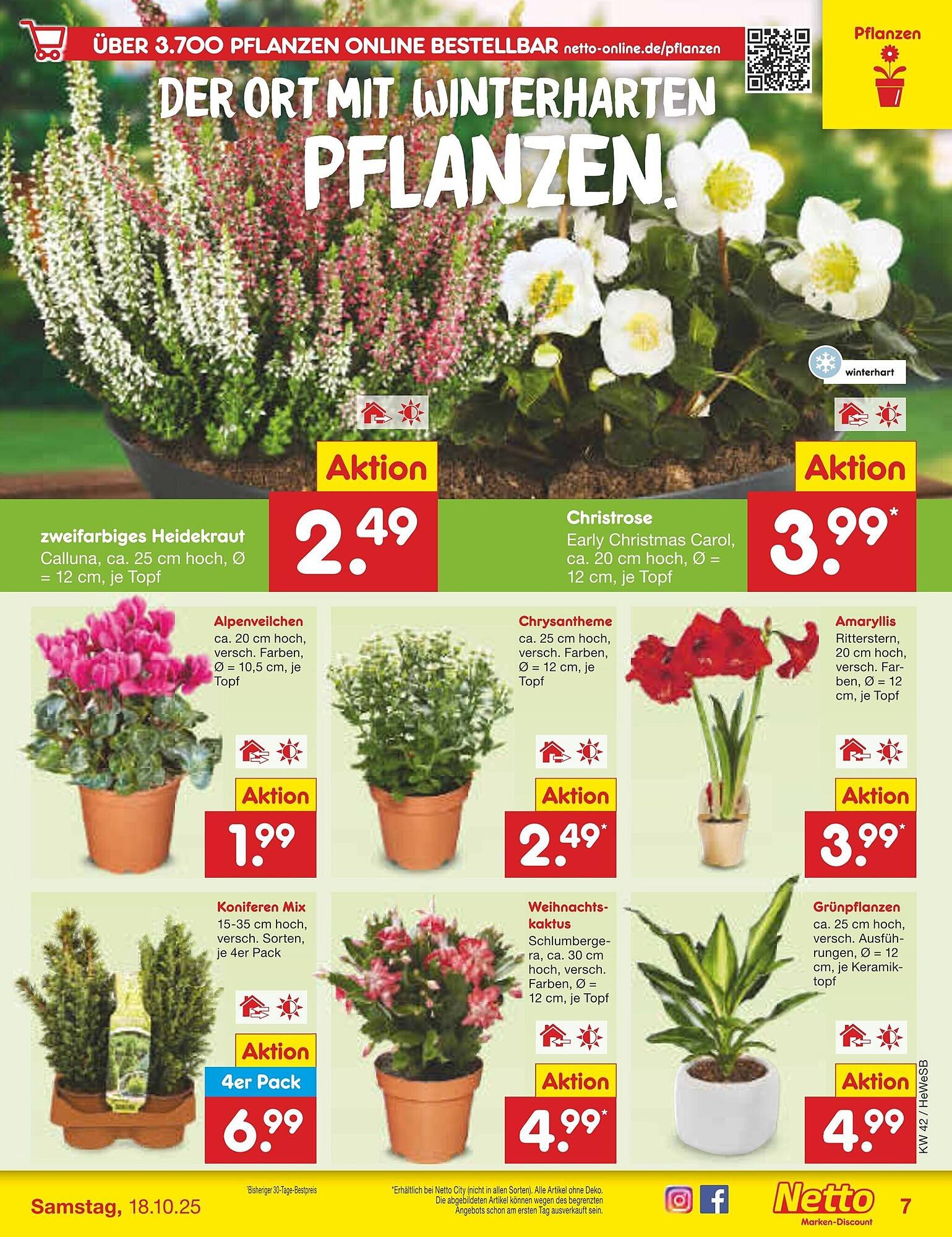 Netto Marken-Discount Prospekt (2025-10-13 - 2025-10-18)