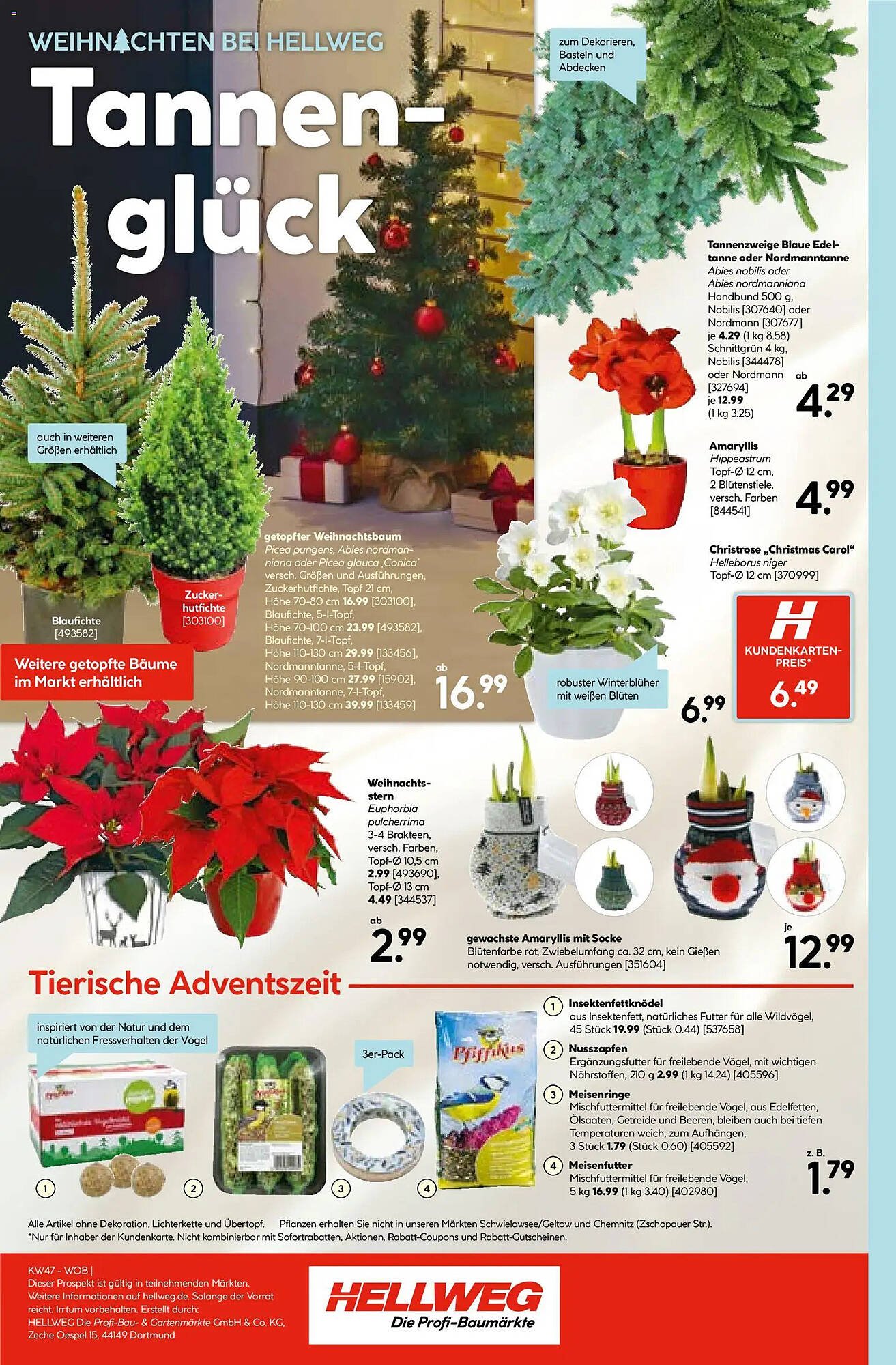 Hellweg Prospekt (2025-11-17 - 2025-11-22)