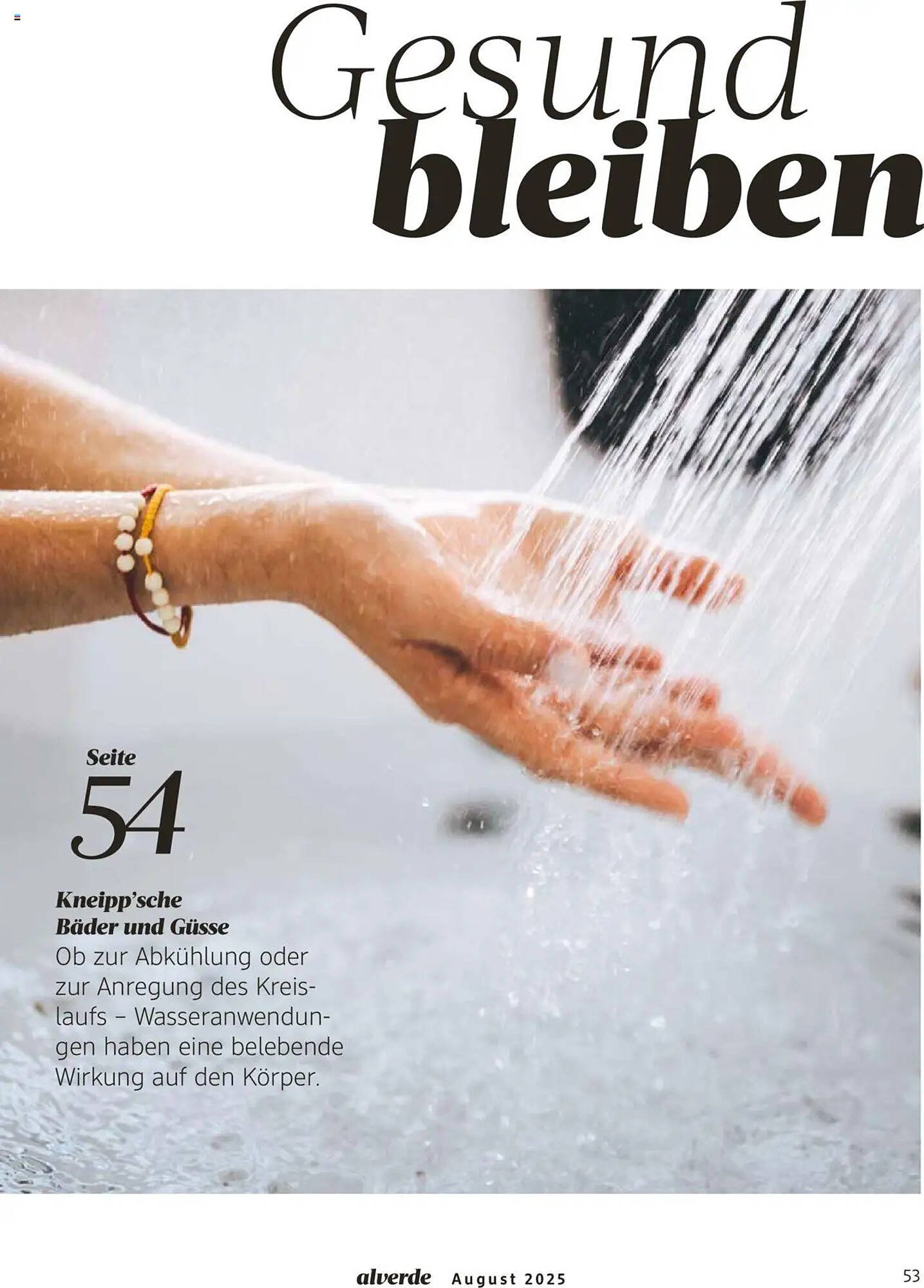 dm drogerie Prospekt (2025-08-01 - 2025-08-31)