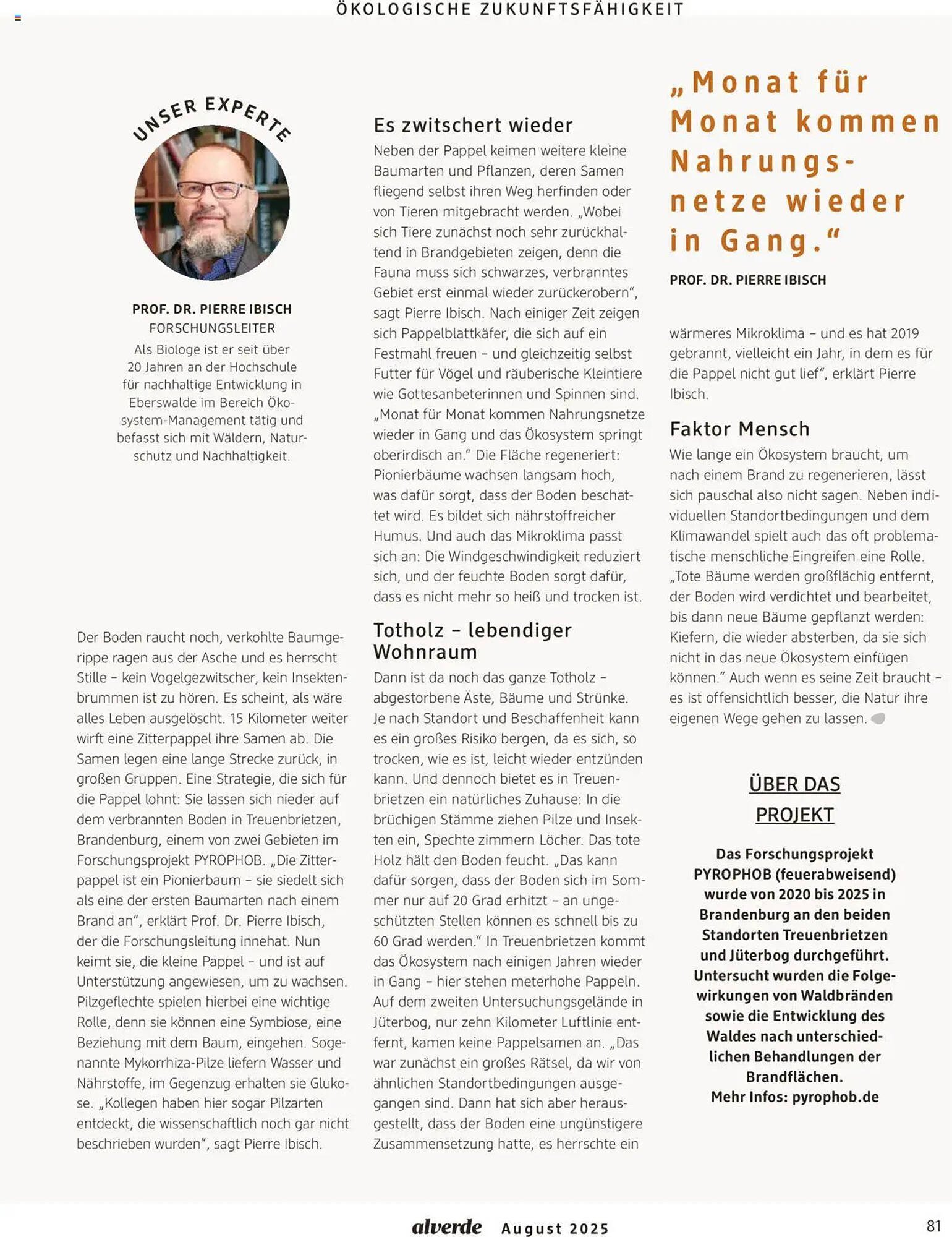 dm drogerie Prospekt (2025-08-01 - 2025-08-31)