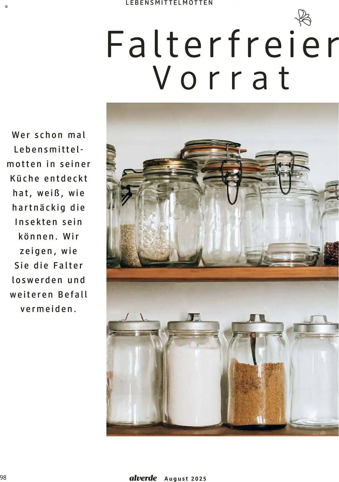 dm drogerie Prospekt (2025-08-01 - 2025-08-31)