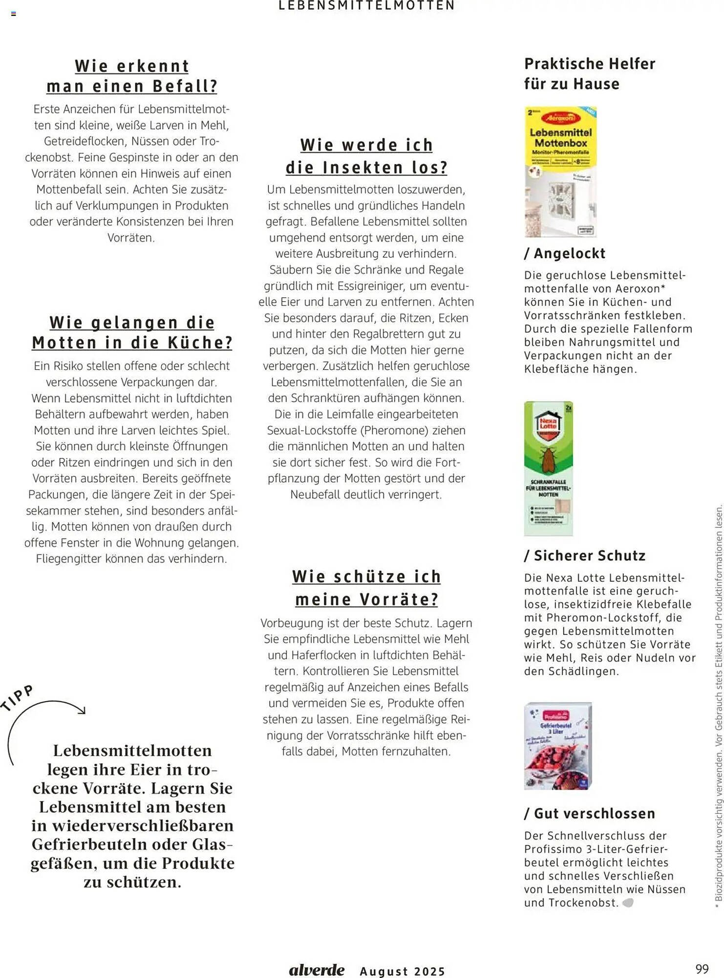 dm drogerie Prospekt (2025-08-01 - 2025-08-31)