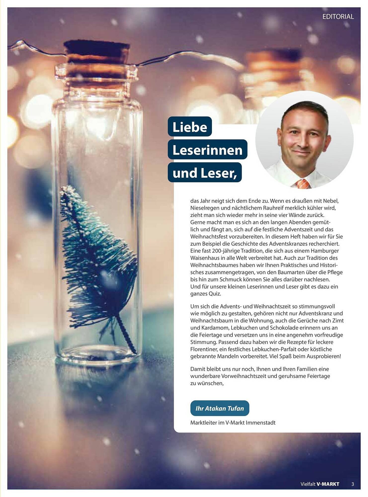 V Markt Prospekt (2025-11-01 - 2025-12-31)