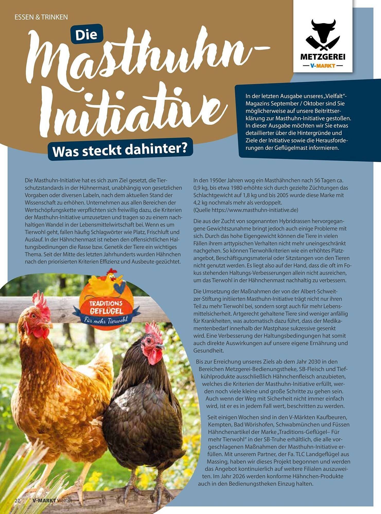 V Markt Prospekt (2025-11-01 - 2025-12-31)