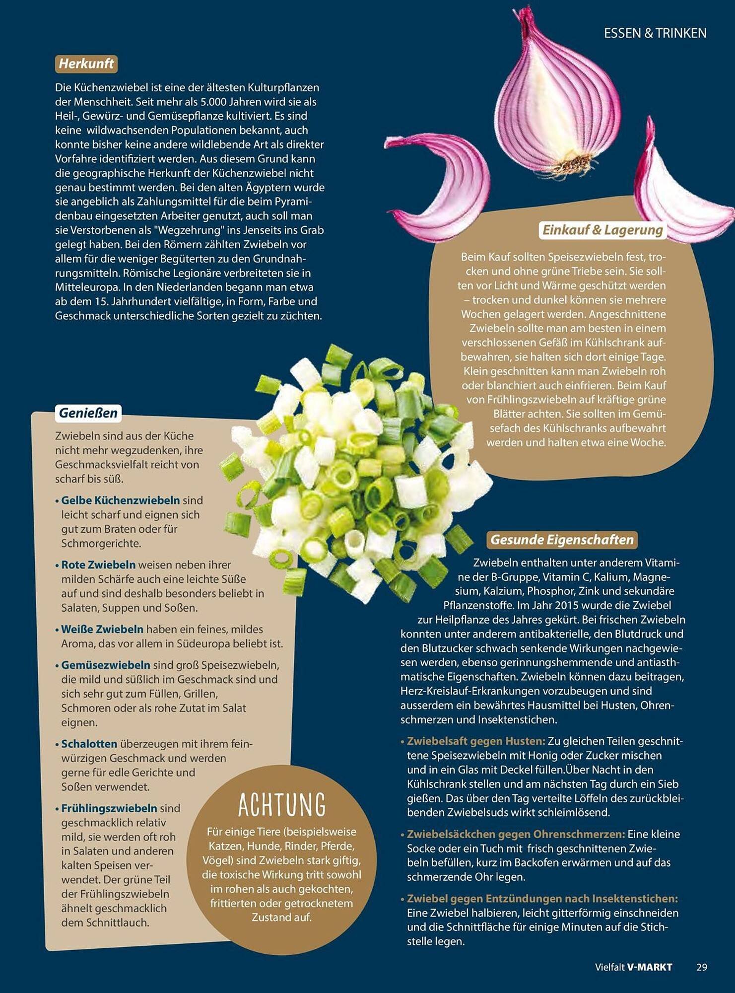 V Markt Prospekt (2025-11-01 - 2025-12-31)