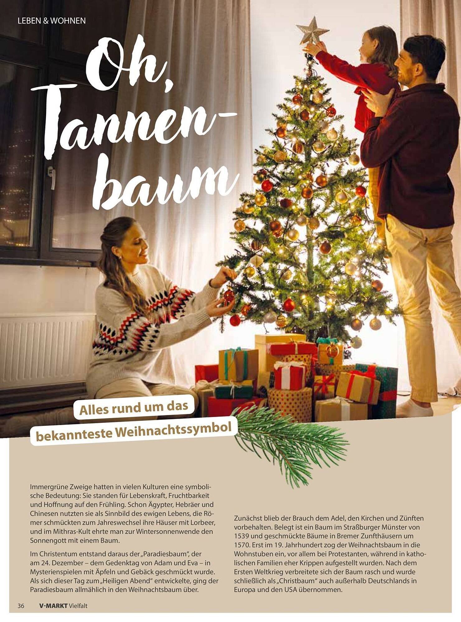 V Markt Prospekt (2025-11-01 - 2025-12-31)