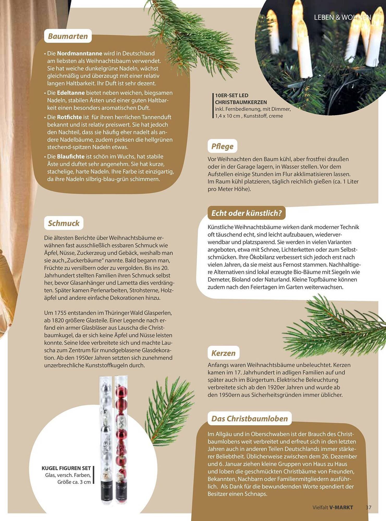 V Markt Prospekt (2025-11-01 - 2025-12-31)