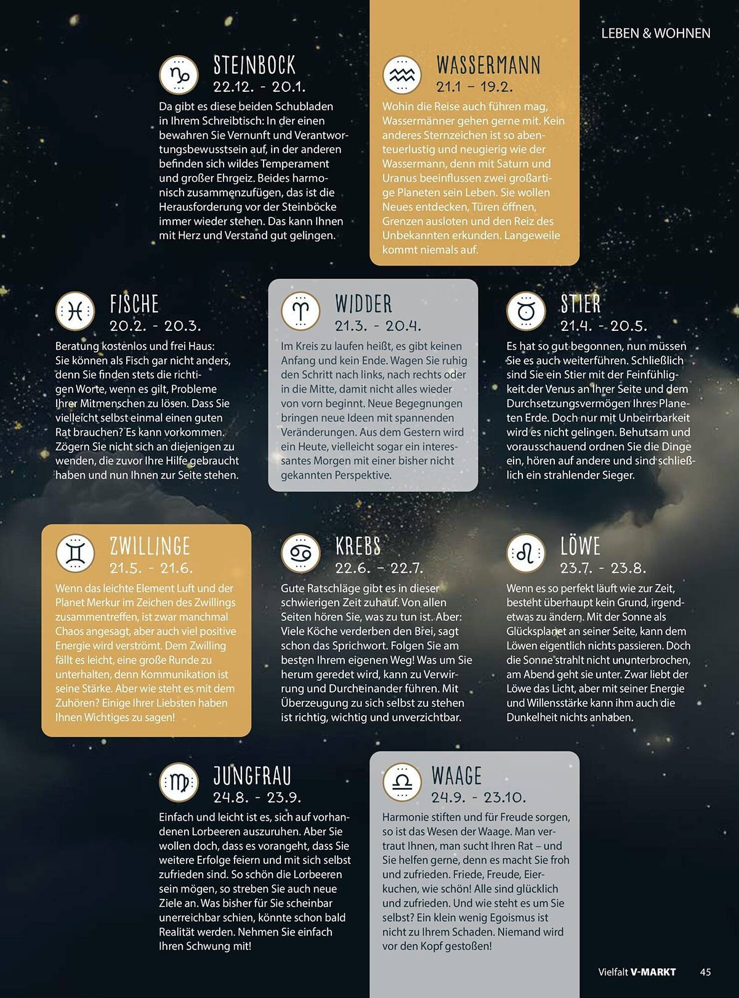 V Markt Prospekt (2025-11-01 - 2025-12-31)