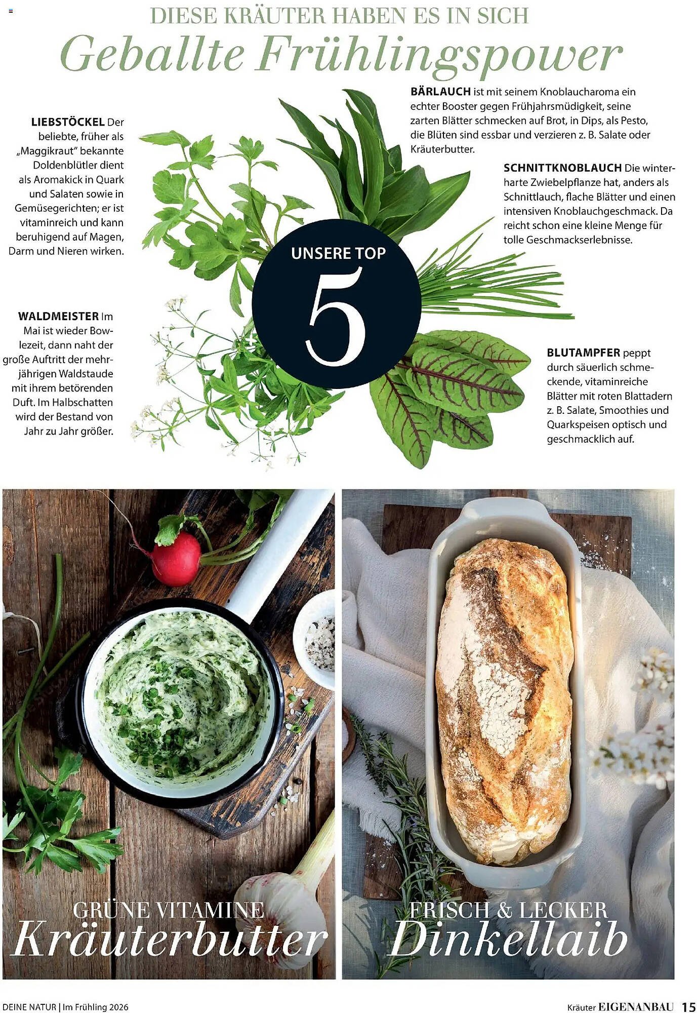 Dehner Prospekt (2026-03-04 - 2026-05-31)