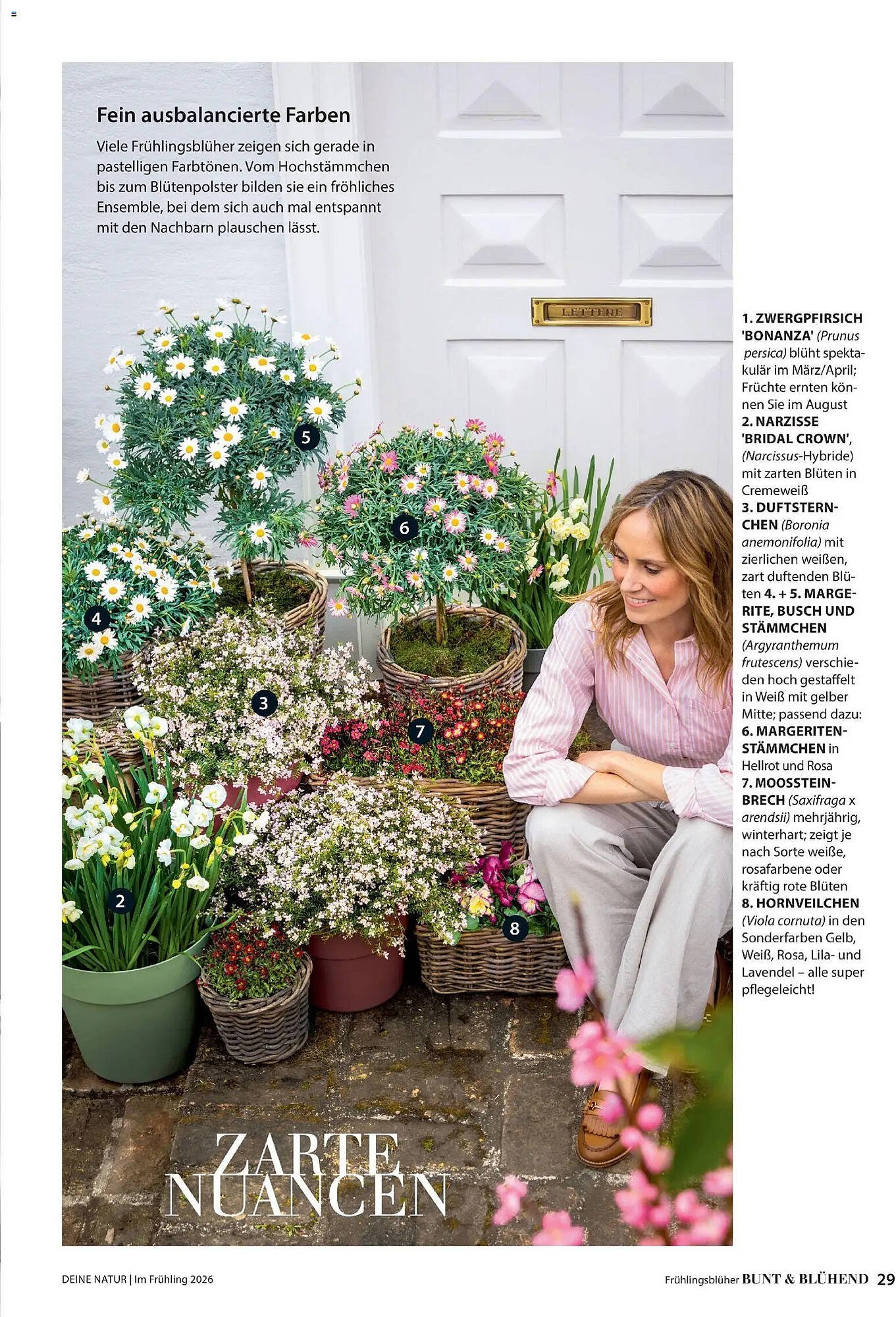 Dehner Prospekt (2026-03-04 - 2026-05-31)