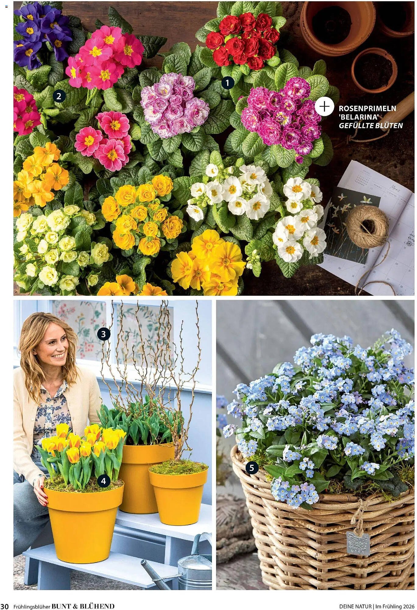 Dehner Prospekt (2026-03-04 - 2026-05-31)