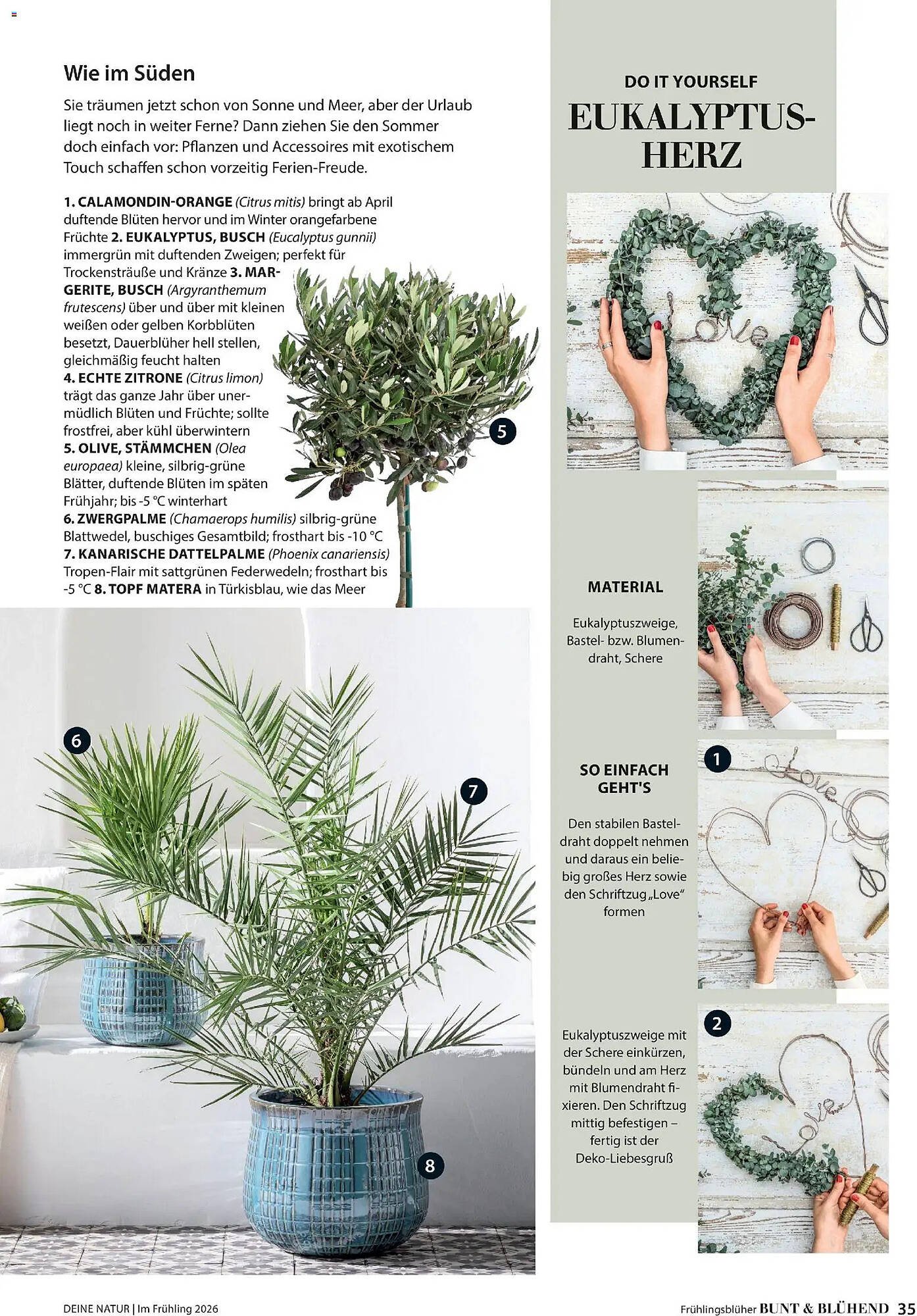 Dehner Prospekt (2026-03-04 - 2026-05-31)