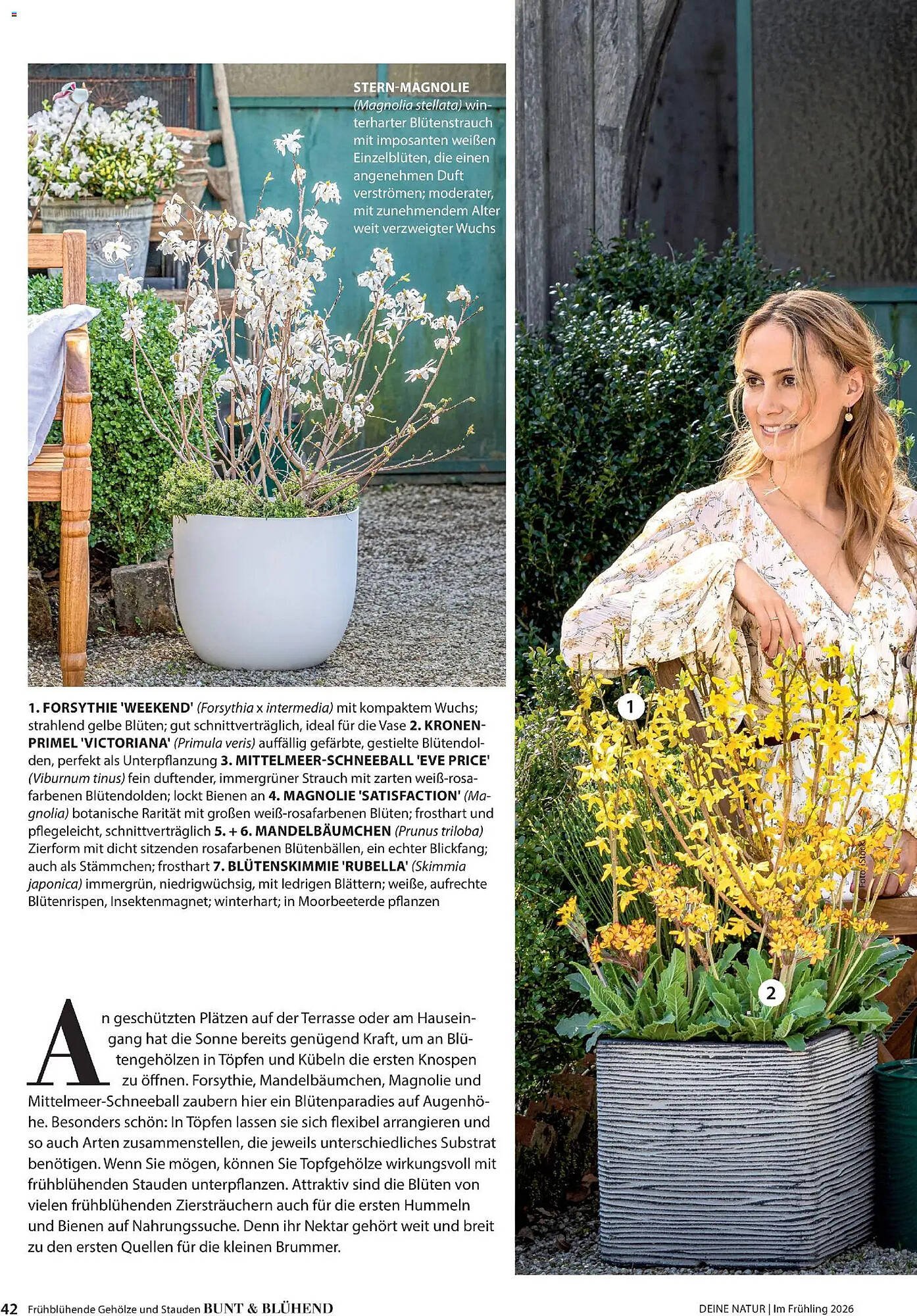 Dehner Prospekt (2026-03-04 - 2026-05-31)