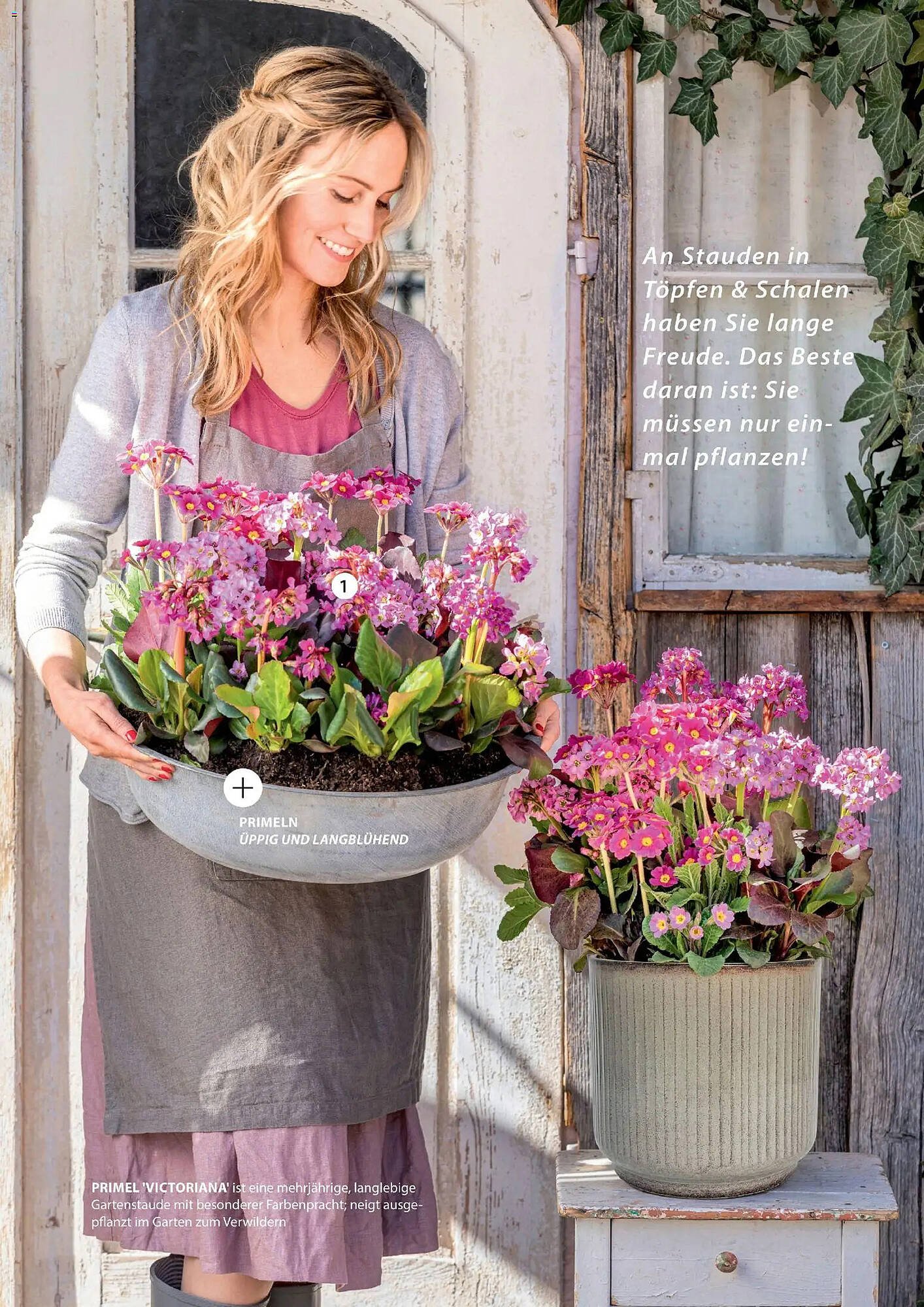 Dehner Prospekt (2026-03-04 - 2026-05-31)