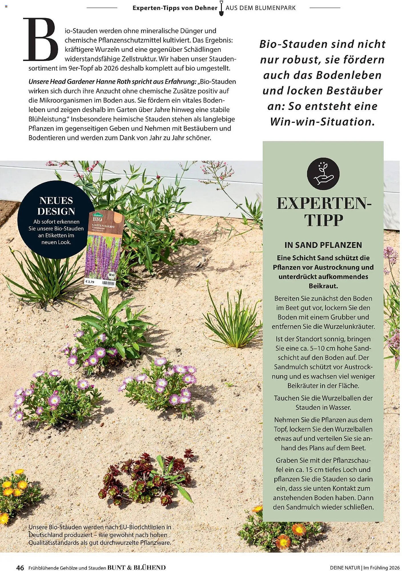 Dehner Prospekt (2026-03-04 - 2026-05-31)