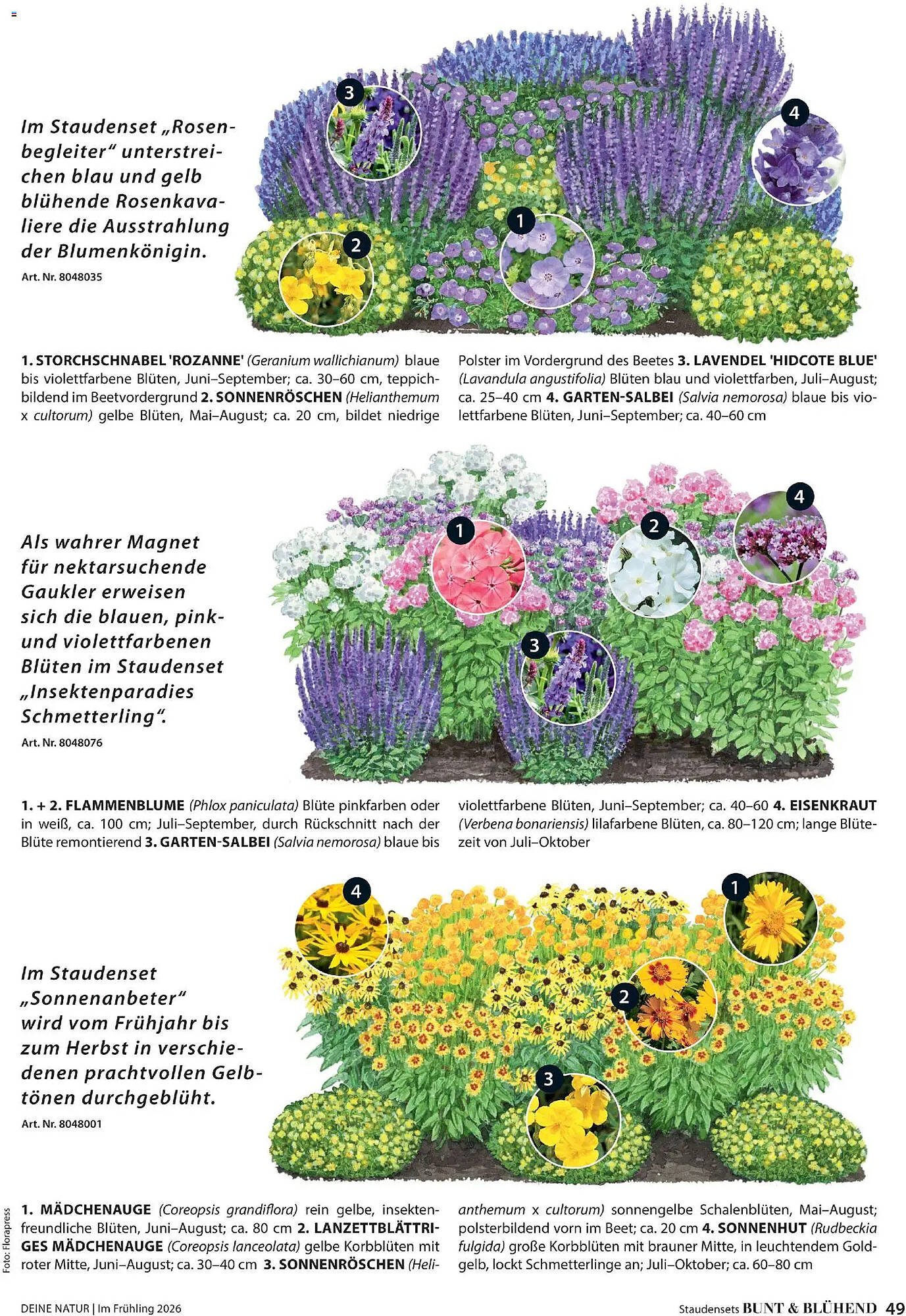 Dehner Prospekt (2026-03-04 - 2026-05-31)