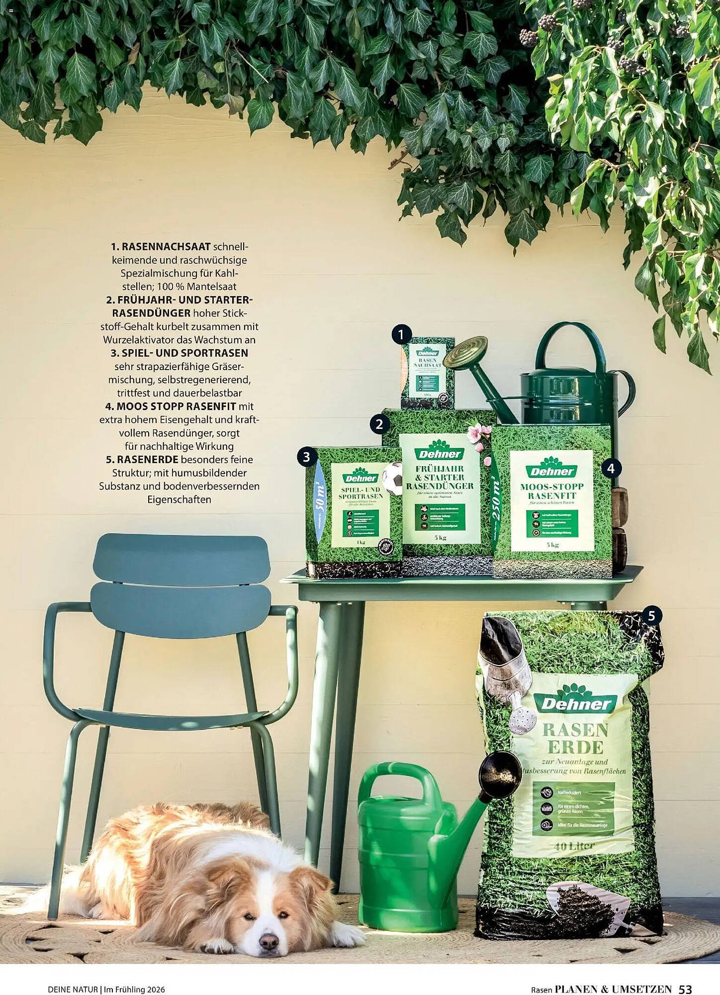 Dehner Prospekt (2026-03-04 - 2026-05-31)
