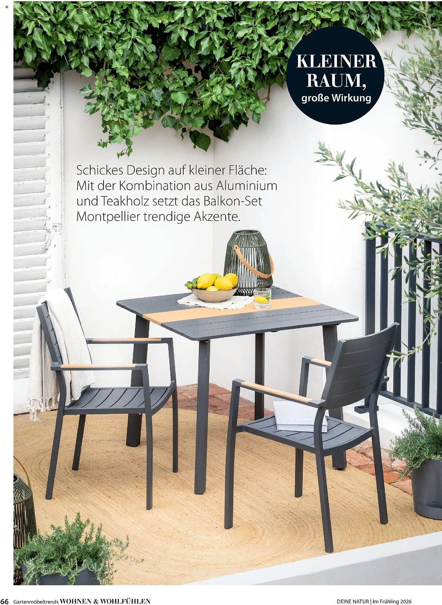 Dehner Prospekt (2026-03-04 - 2026-05-31)