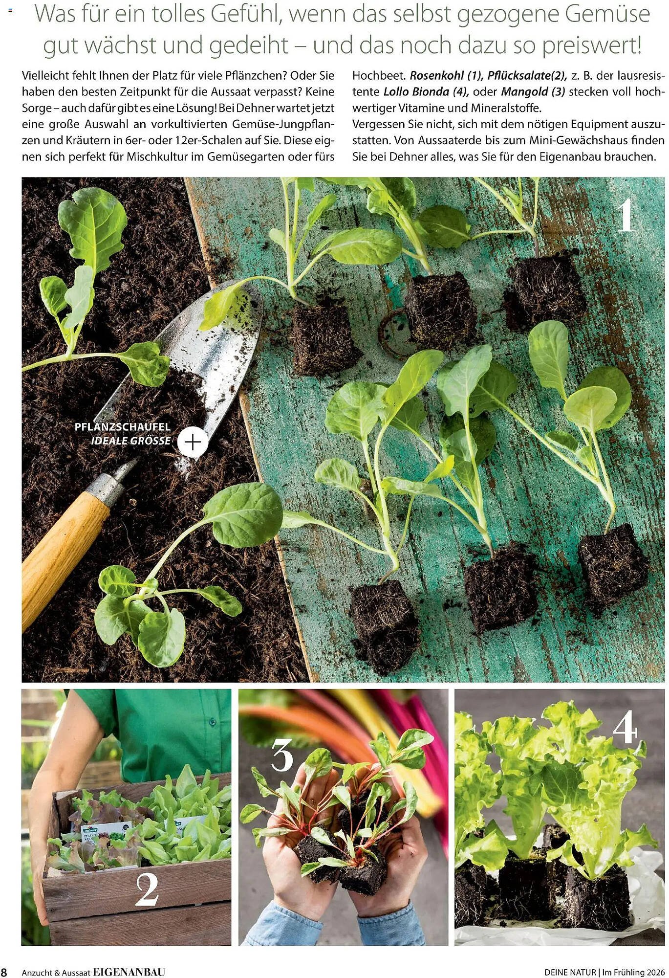 Dehner Prospekt (2026-03-04 - 2026-05-31)