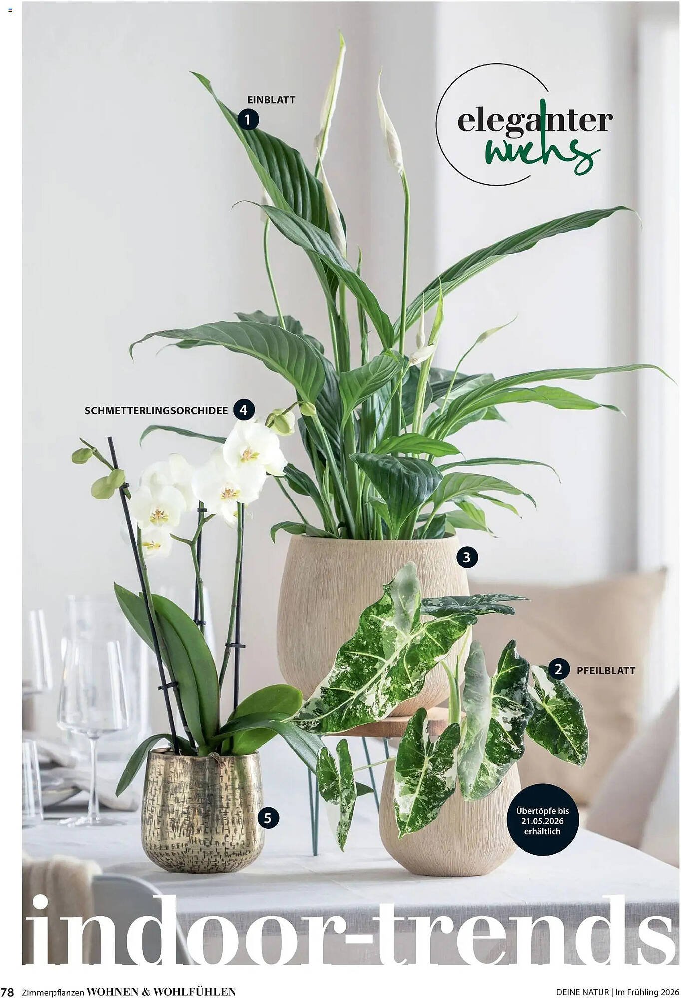 Dehner Prospekt (2026-03-04 - 2026-05-31)