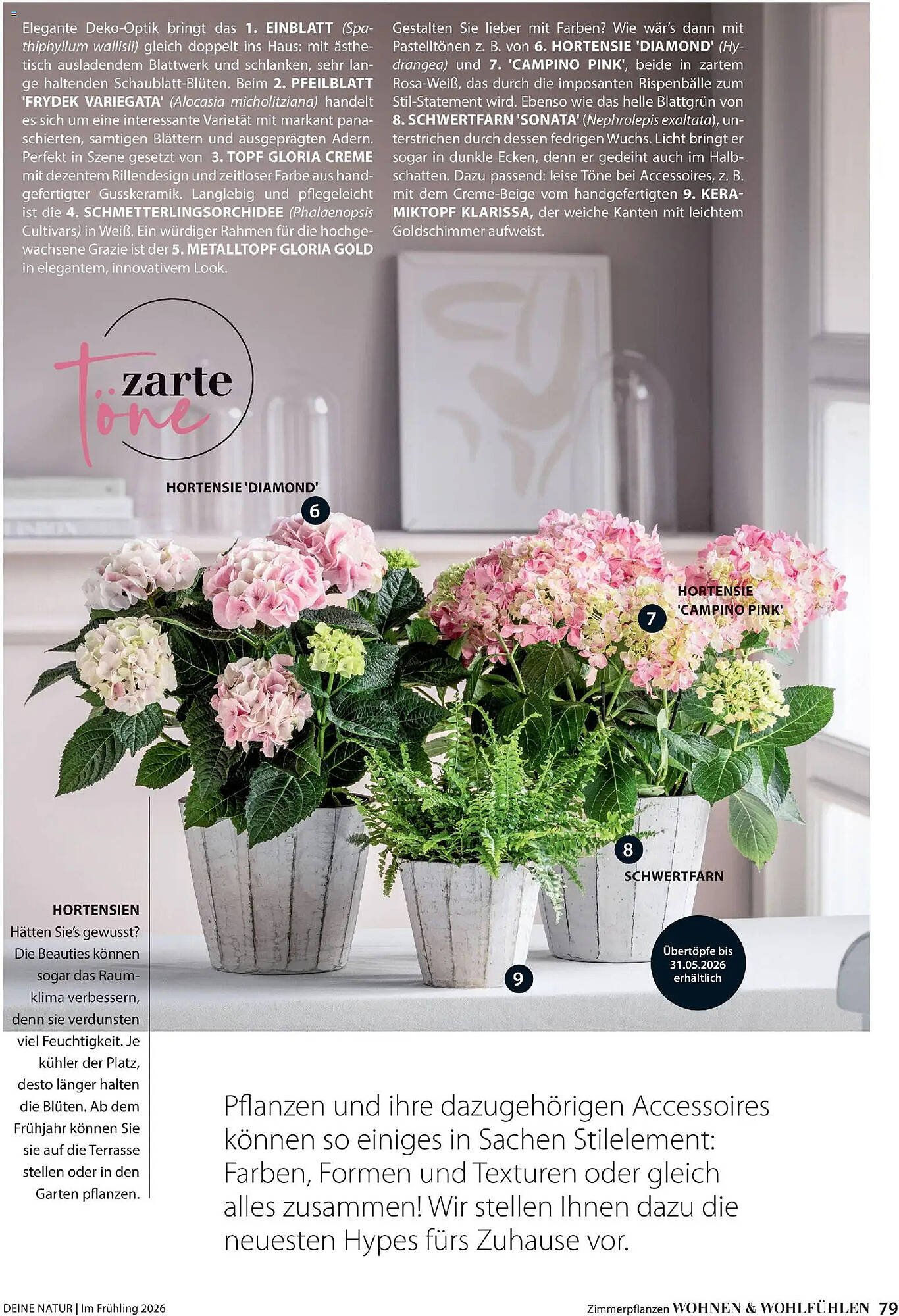 Dehner Prospekt (2026-03-04 - 2026-05-31)