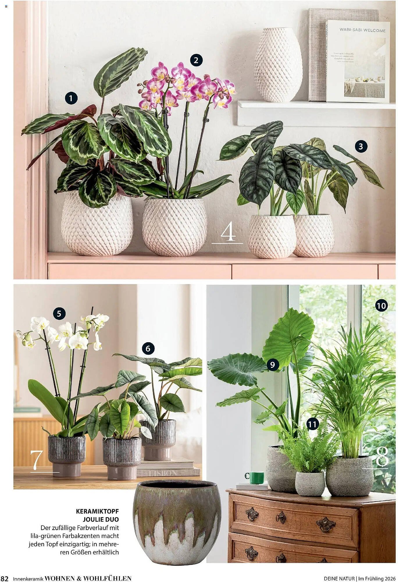 Dehner Prospekt (2026-03-04 - 2026-05-31)