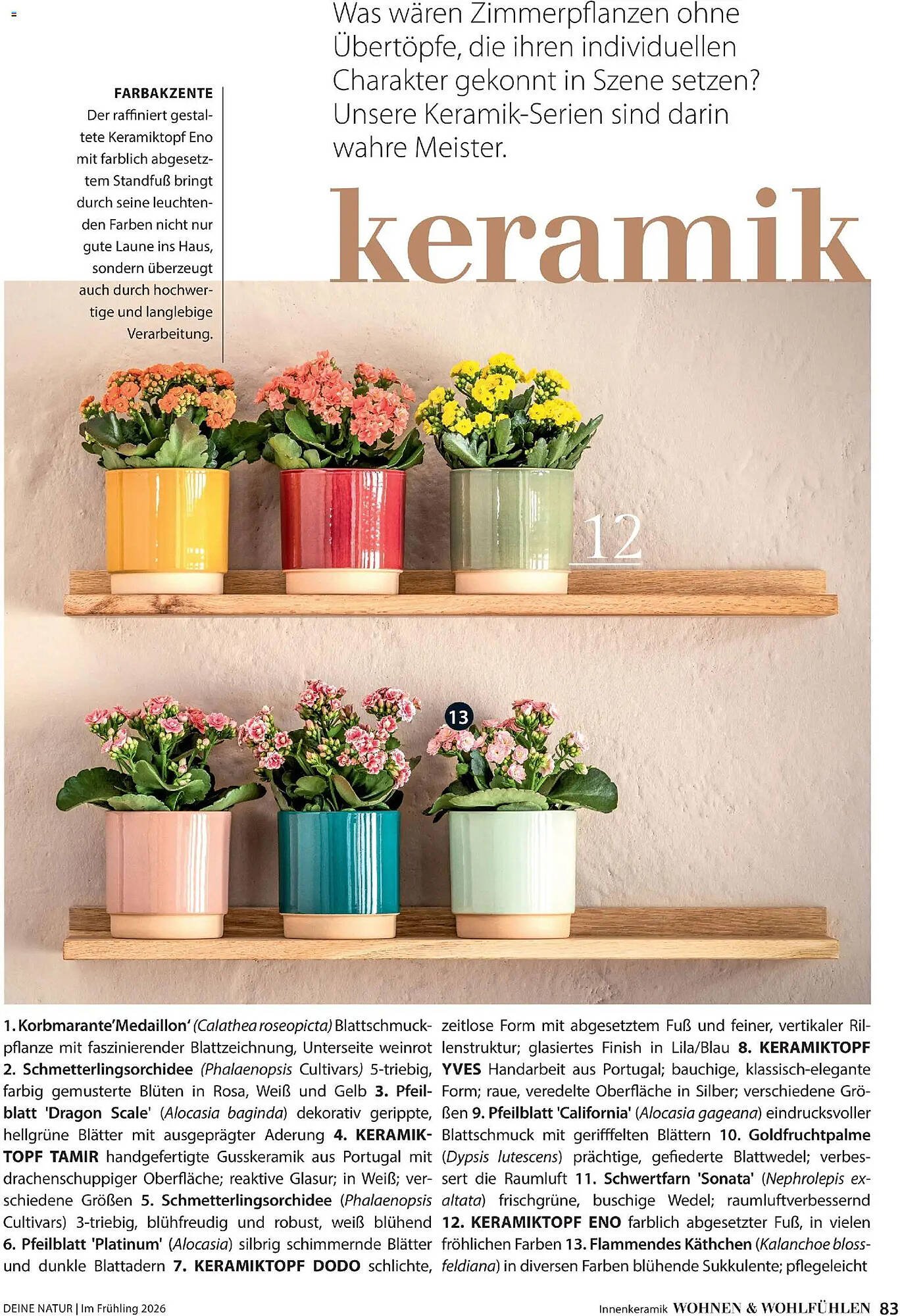 Dehner Prospekt (2026-03-04 - 2026-05-31)