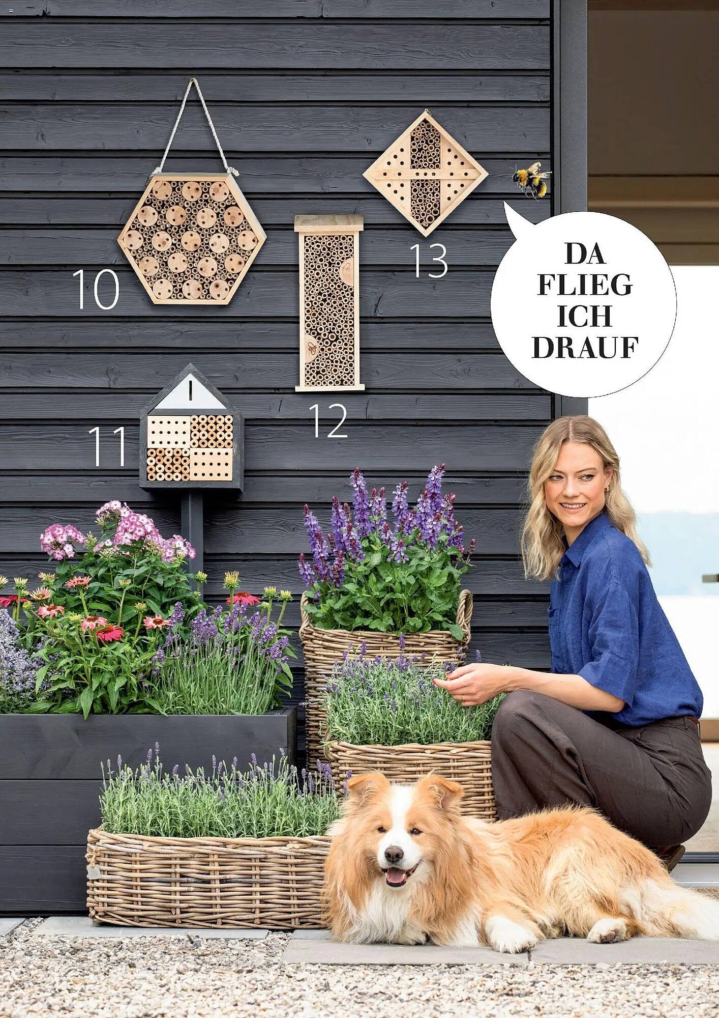 Dehner Prospekt (2026-03-04 - 2026-05-31)