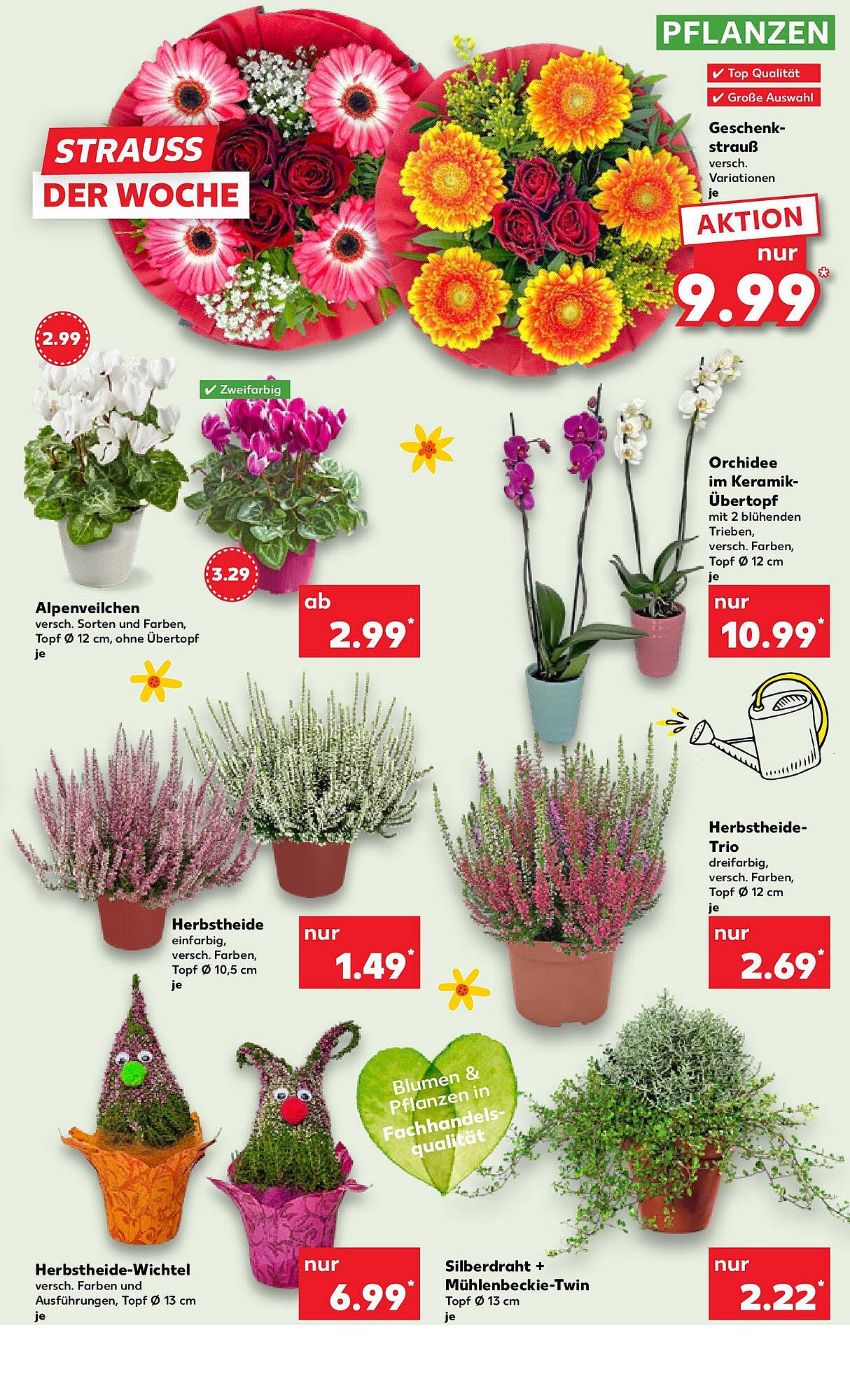 Kaufland Prospekt (2025-10-12 - 2025-10-15)