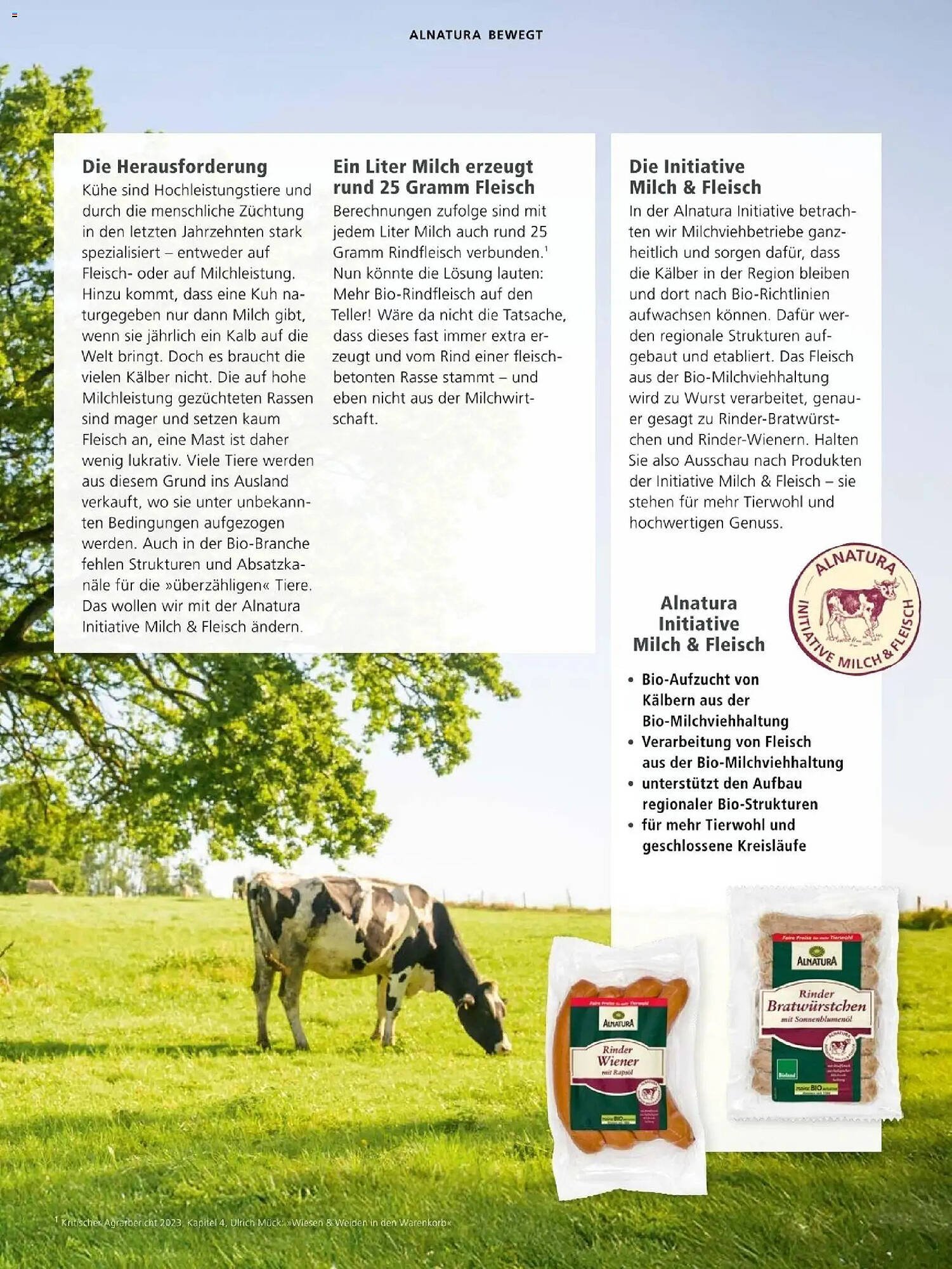 Alnatura Prospekt (2025-11-01 - 2025-11-30) | 31