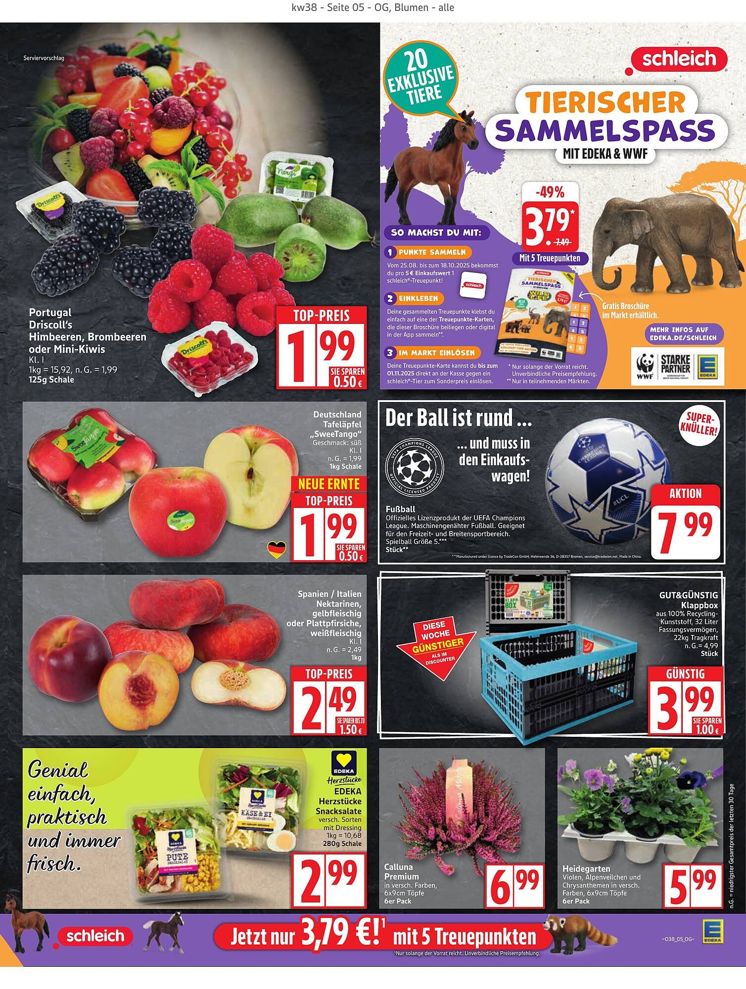 Edeka Prospekt (2025-09-15 - 2025-09-20) | 5